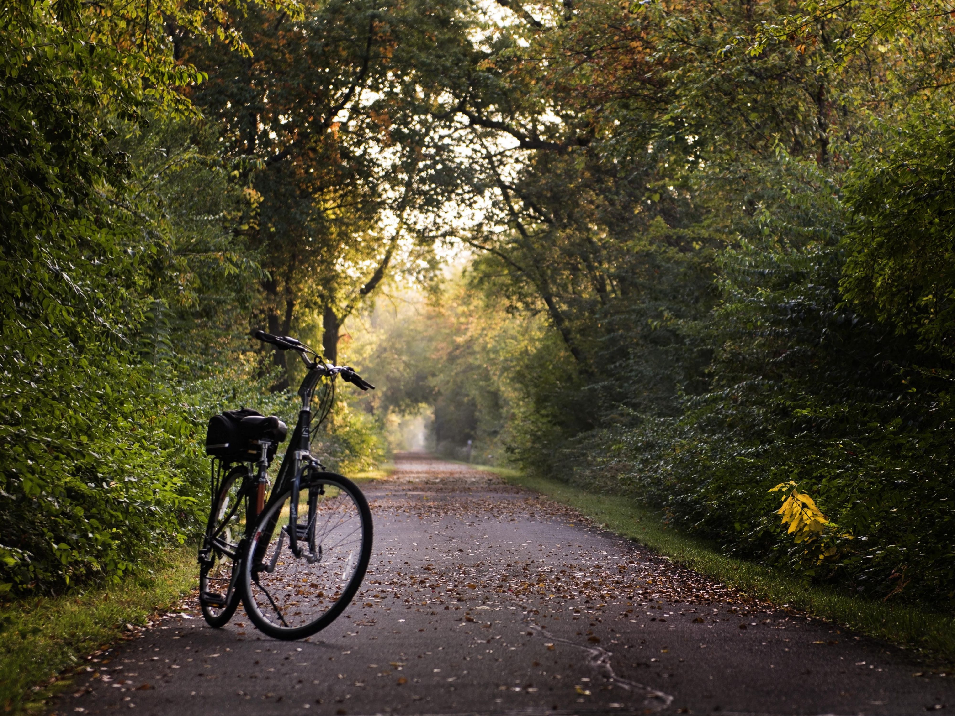 Running south through Milford along the Little Miami River to the outskirts of Cincinnati and stretching 78 miles north to Springfield, this trail features historical towns, stunning natural scenery and two state parks. There is room to store your bike during your stay and a free hot breakfast to power you on your ride. Group pricing is available.