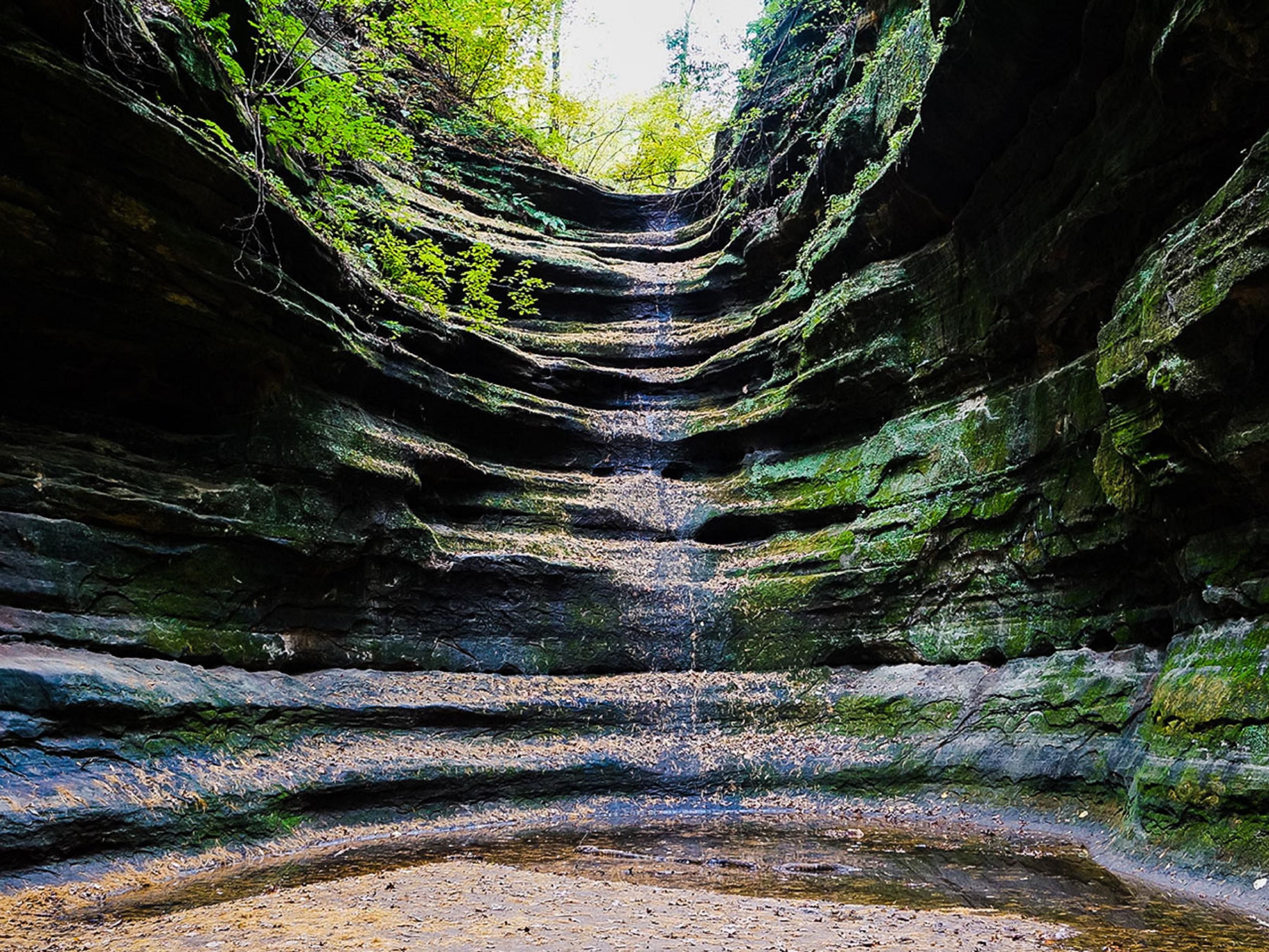 A short drive from the hotel you will find one of the most beautiful places in Illinois, Starved Rock State Park. Amazing waterfalls are active in the spring and after heavy rains. There are 13 miles of trails to explore and the Illinois River offers fishing (ice fishing, too), boating, extraordinary views and great places to relax. 
