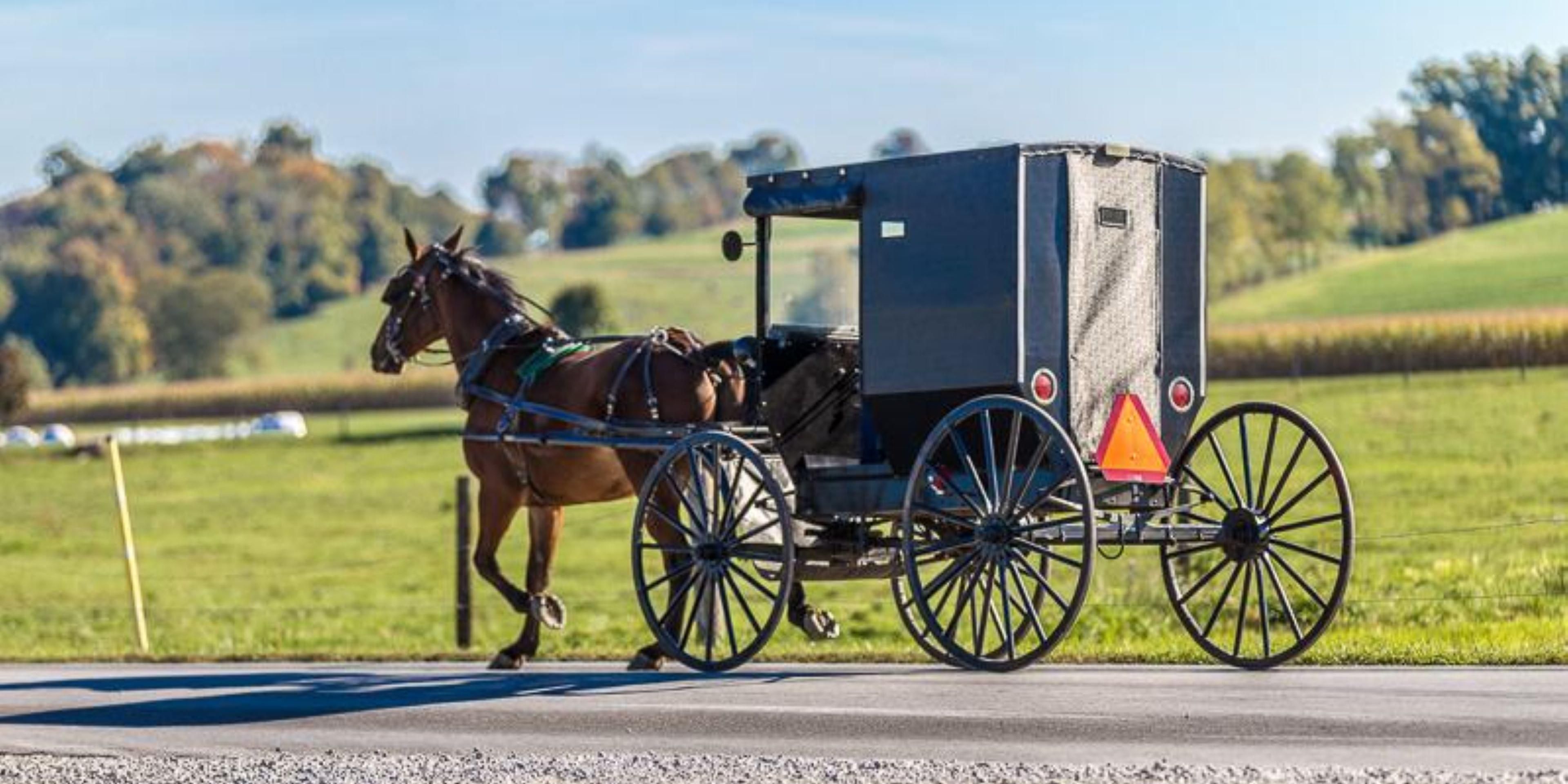 The world-famous Amish and Pennsylvania Dutch attractions are a short drive away. Sowing the fields in the spring and harvesting in the fall with their mules' teams is something to be seen.