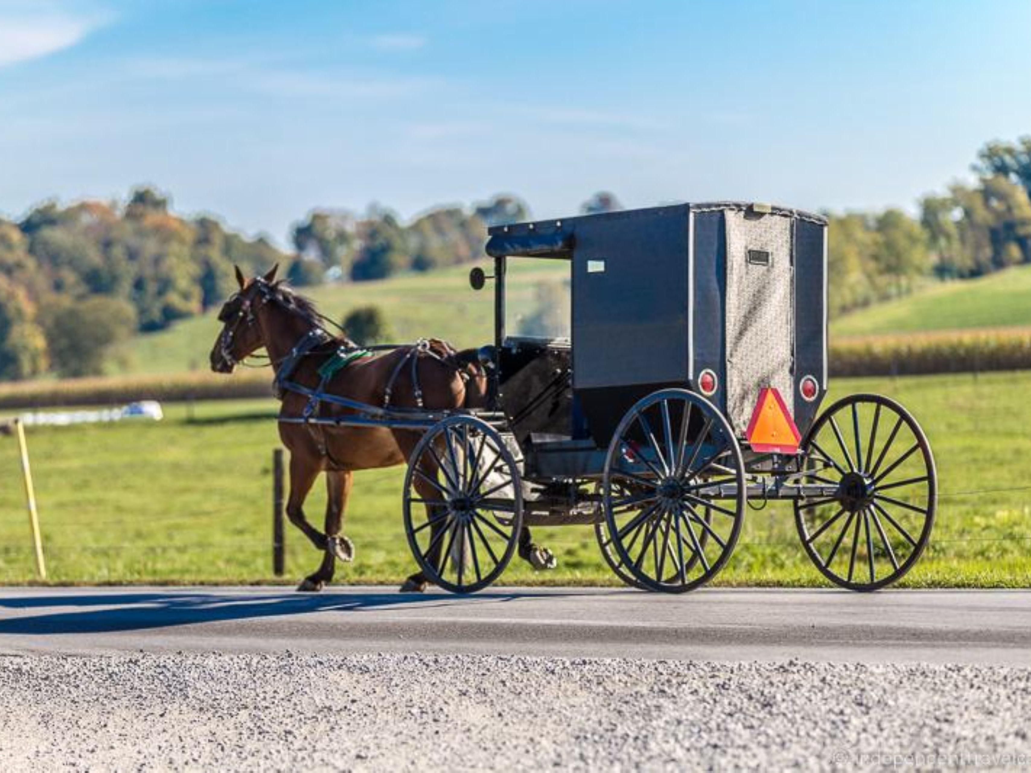 The world-famous Amish and Pennsylvania Dutch attractions are a short drive away. Sowing the fields in the spring and harvesting in the fall with their mules' teams is something to be seen.