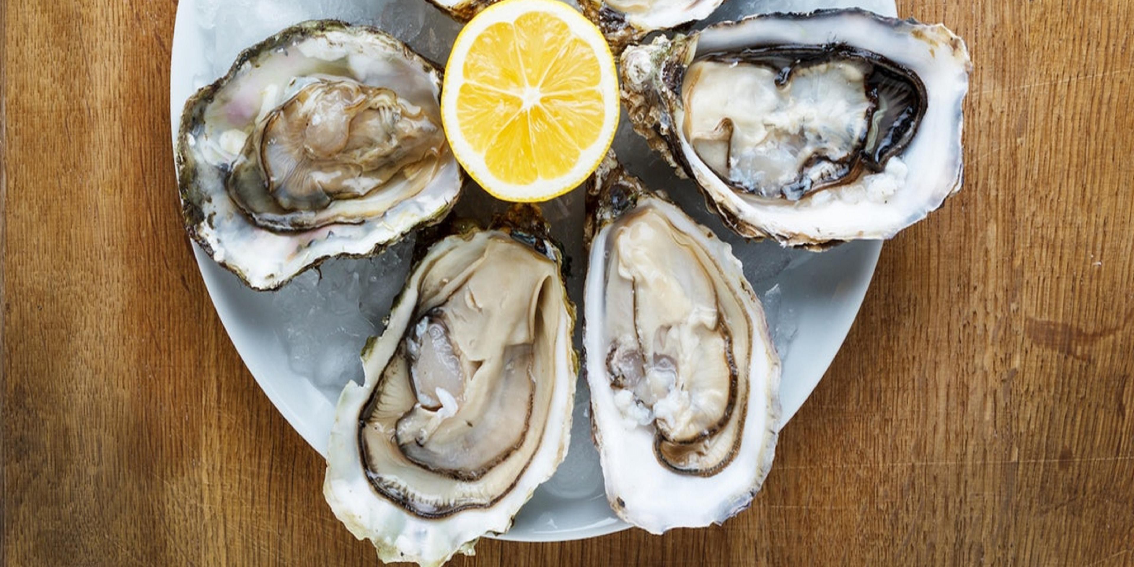 Enjoy the Island lifestyle any time of the year with our Hotel just minutes away from area attractions including Patriots Point, Boone Hall Plantation (known for their annual oyster roast), and local beaches. Historic Charleston is a quick drive to see the sites and sounds of the Holy City.