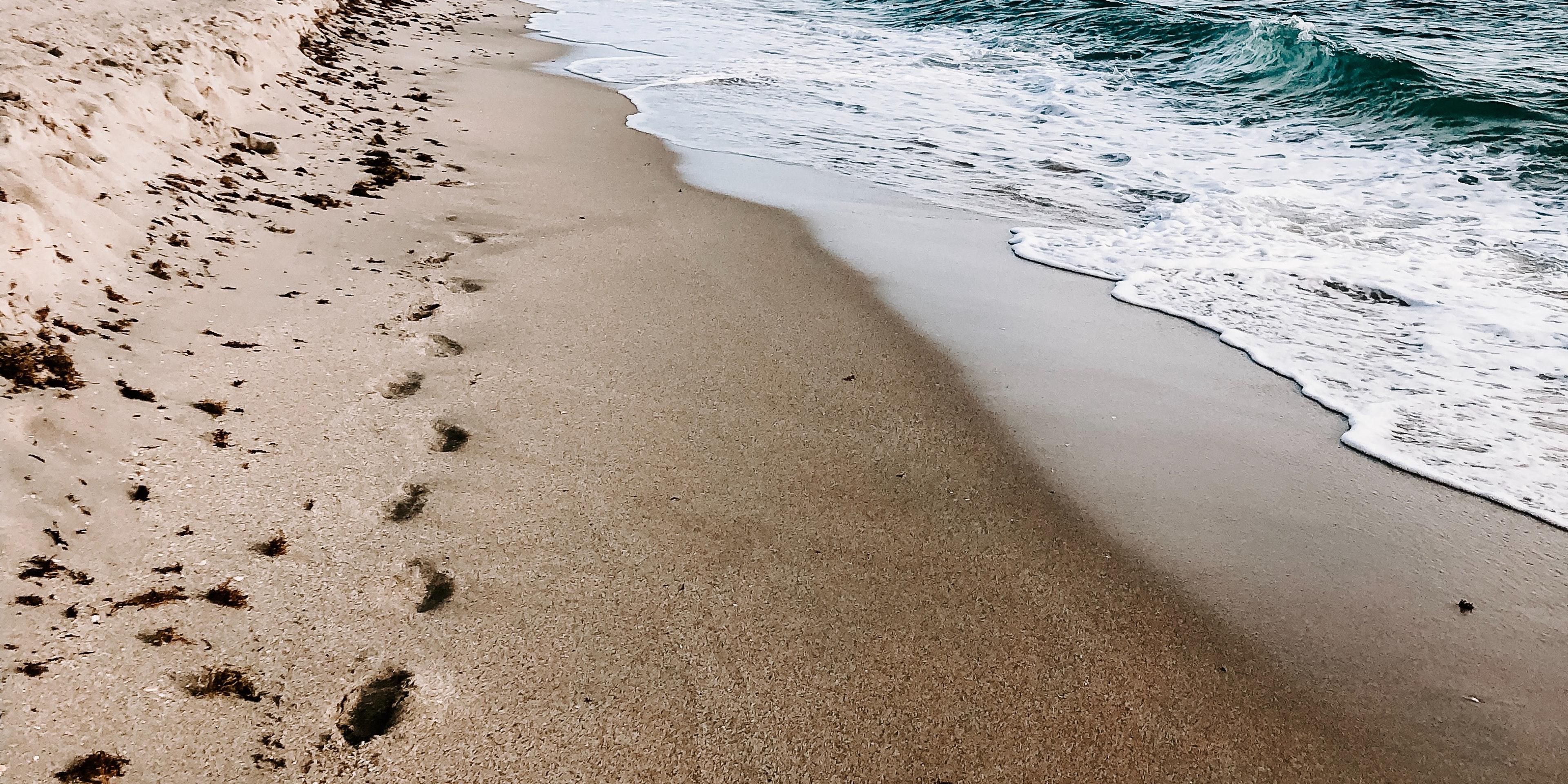 Pack your beach bag and plan your visit to Isle of Palms or Sullivan’s Island. A short drive from the Isle of Palms Connector you will have your toes in the sand and an opportunity to catch a glimpse of Lowcountry sites dolphins playing or shrimp boats bringing in their daily catch. Remember to visit Shem Creek for dinner and cocktails.