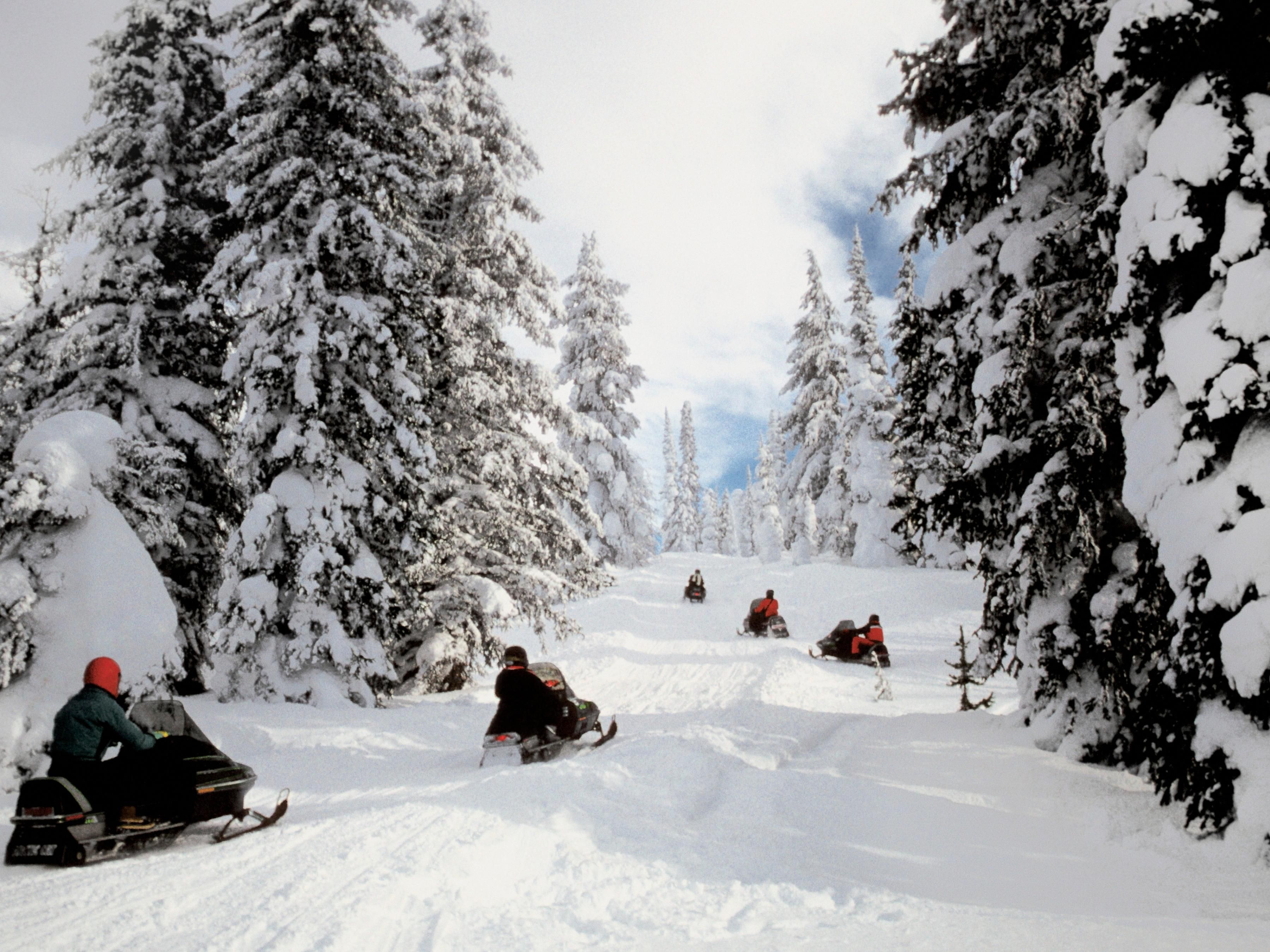 Winter in North Bay turns the region into a snowy wonderland, offering a wide range of fun and exciting activities surrounded by stunning Natural Beauty. With snow-covered forests and frozen lakes, the “Gateway to the North” is a top Northern Ontario destination for outdoor adventurers just 3.5 hours from both Toronto and Ottawa.