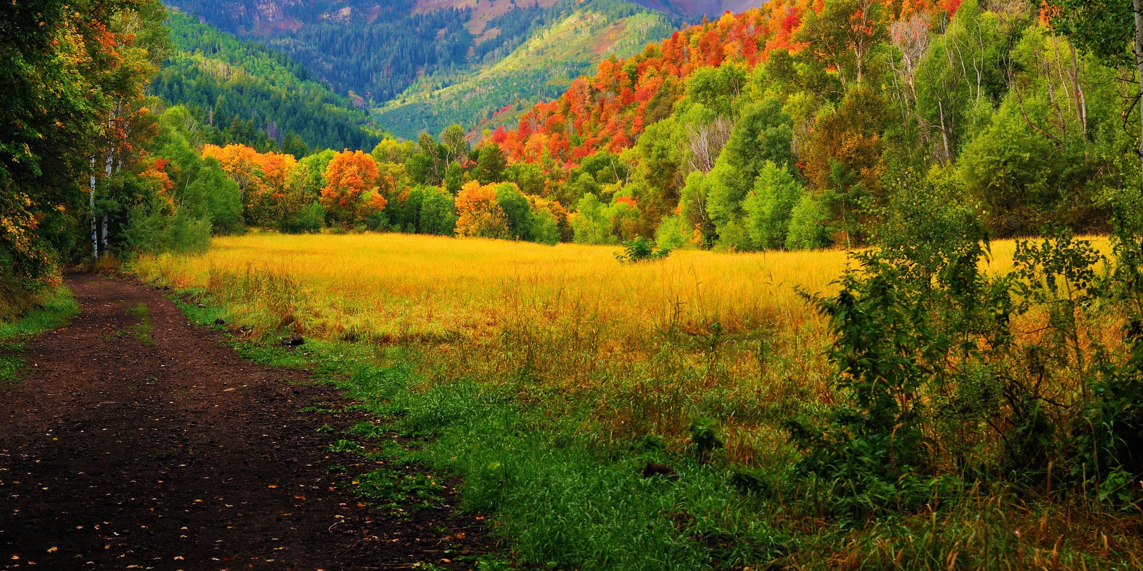 Utah is home to some incredible mountain experiences for all ages to enjoy. For simple access to Provo canyon, simply take the 800 North exit in Orem and drive east until you reach the mouth of the canyon. 