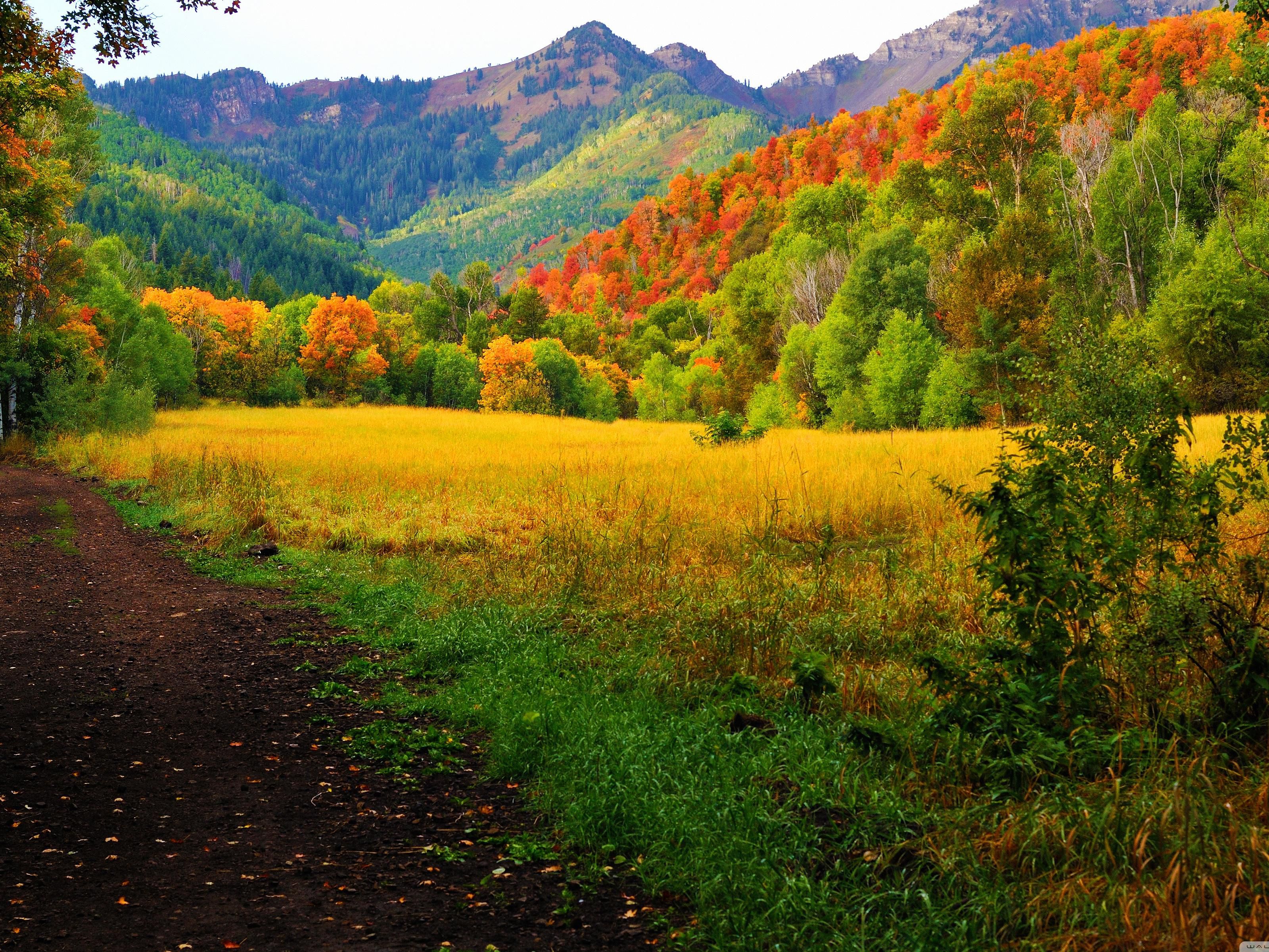 Utah es el hogar de algunas experiencias de montaña increíbles para que disfruten todas las edades. Para acceder fácilmente al cañón Provo, simplemente tome la salida 800 Norte en Orem y conduzca hacia el este hasta llegar a la boca del cañón. 