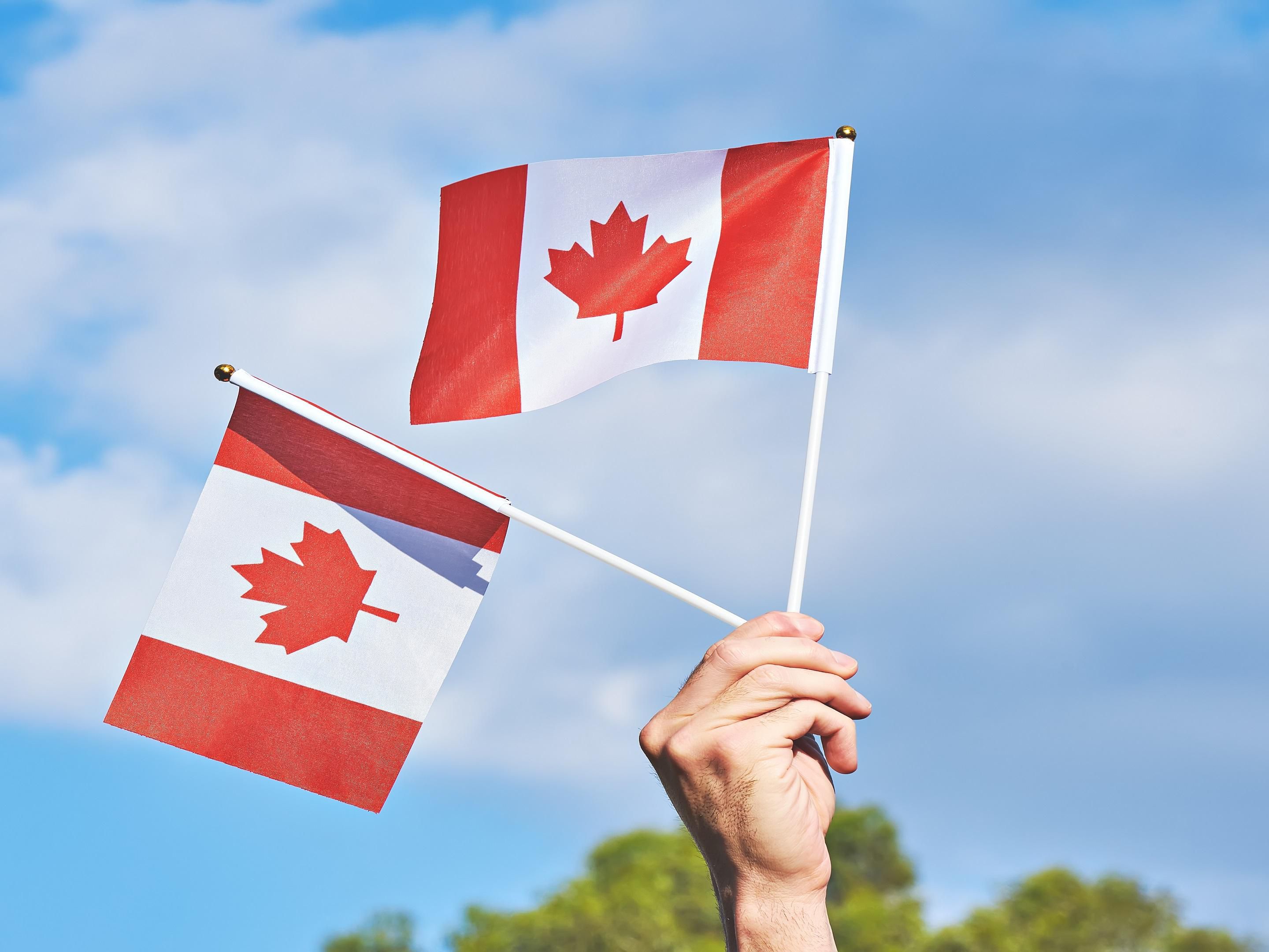 Travel through history with the Canada Strong Pass, offering free admission for children and teens aged 17 and under to Ottawa’s seven national museums! Plus, every Thursday after 5pm, adults and children alike are welcome to enjoy free entry to Ottawa's national museums. Immerse yourself in Canada’s vibrant heritage on your next stay with us!