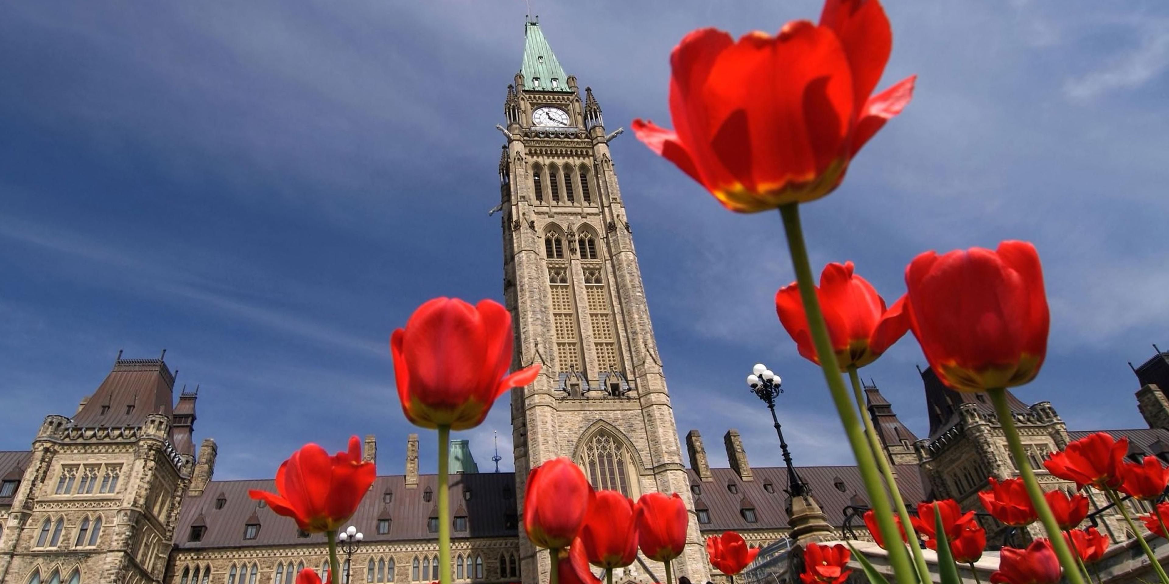 We have created a list of our favorite attractions to visit in Ottawa-Orleans. Enjoy a range of offers and flexible cancellation. 