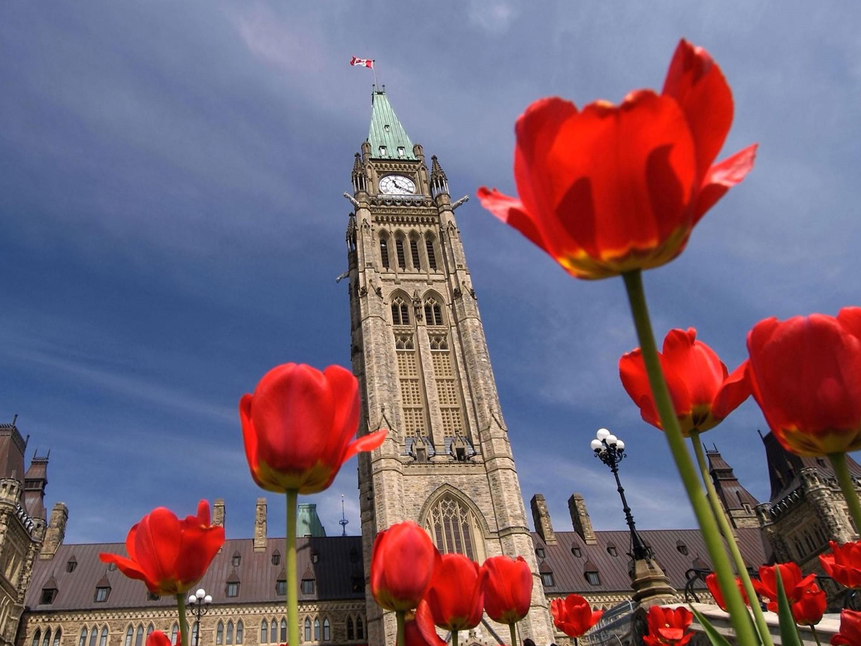¡Vive la primavera en Ottawa! ¡La primavera en Ottawa es una celebración vibrante de cultura, belleza y emoción! Disfrute de las impresionantes vistas del Festival Canadiense de los Tulipanes en mayo, donde millones de tulipanes florecen en un impresionante despliegue de color. Asista a un concierto durante el Escapade Music Festival en junio o visite uno de nuestros 18 museos.