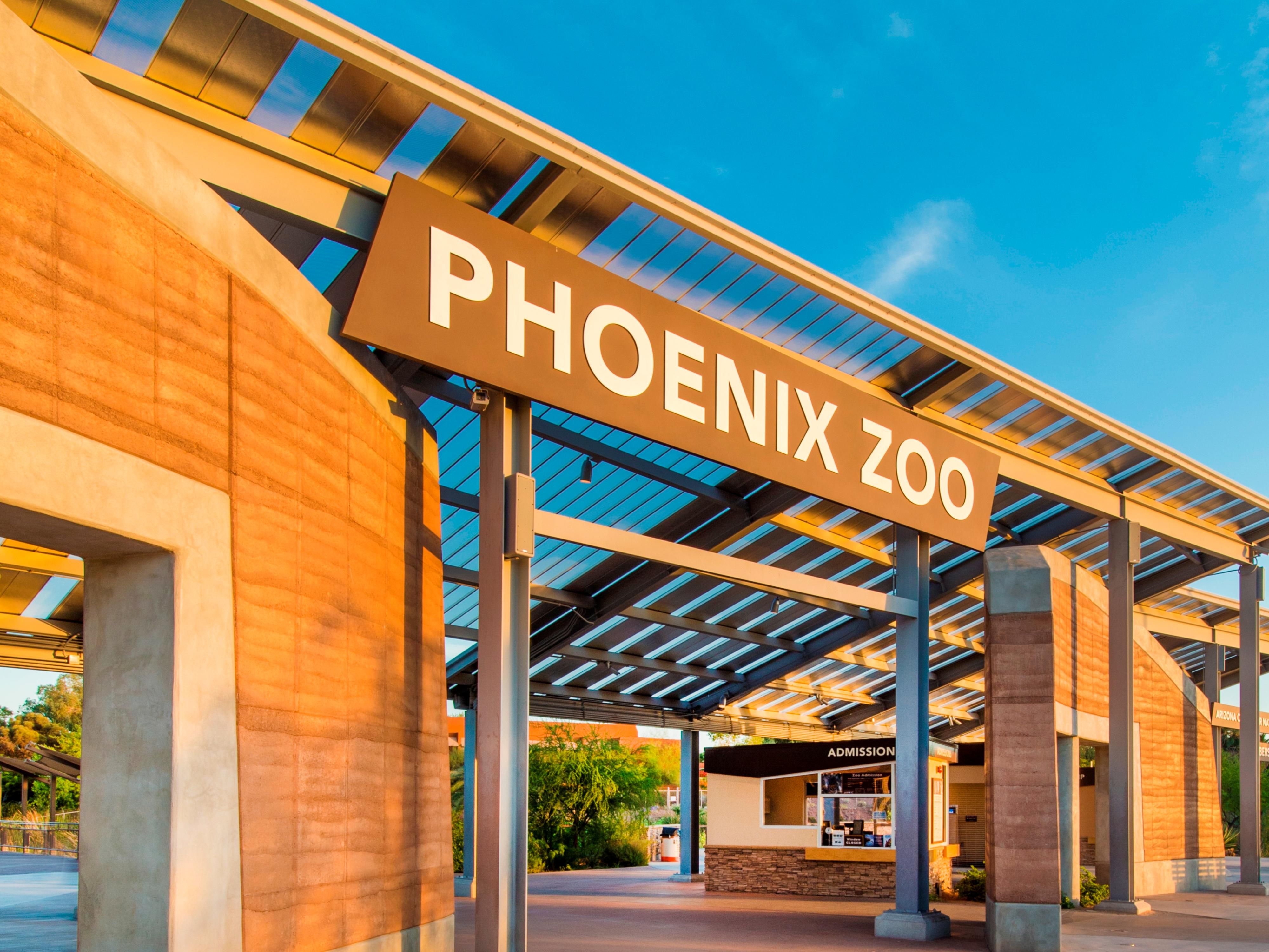 Experience the Phoenix Zoo