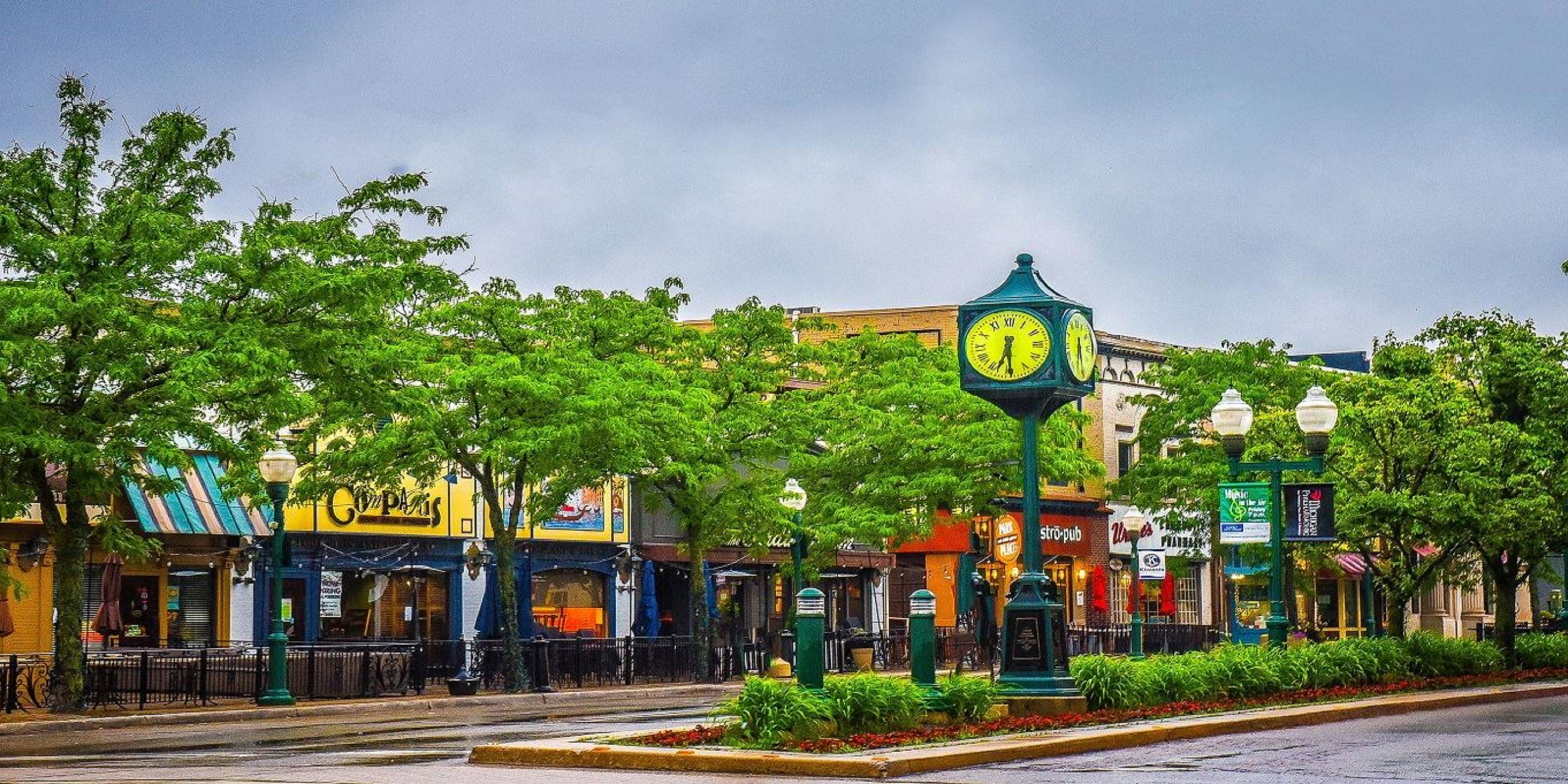 Visit downtown Plymouth where, "It's Not Just a Walk in the Park!" The beautiful Kellogg Park is Plymouth's signature landmark, but as you explore downtown, you will also find an eclectic gathering of shops, apparel stores, eateries, bars, entertainment, and salons and spas.