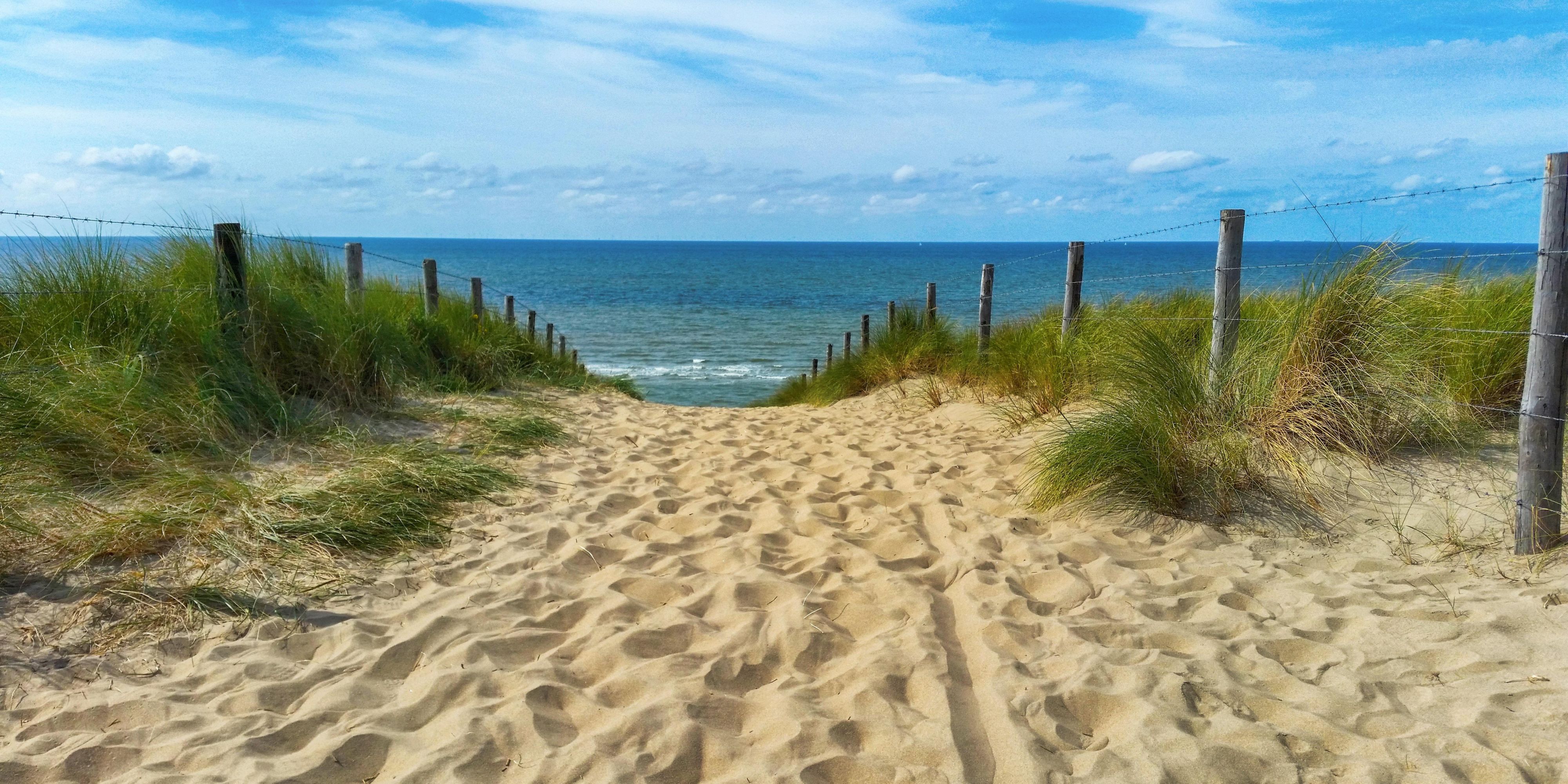 The hotel is located just 15 short minutes from the Indiana Dunes National Park. Guests can either relax on the beaches or exercise with a hike through the dunes.