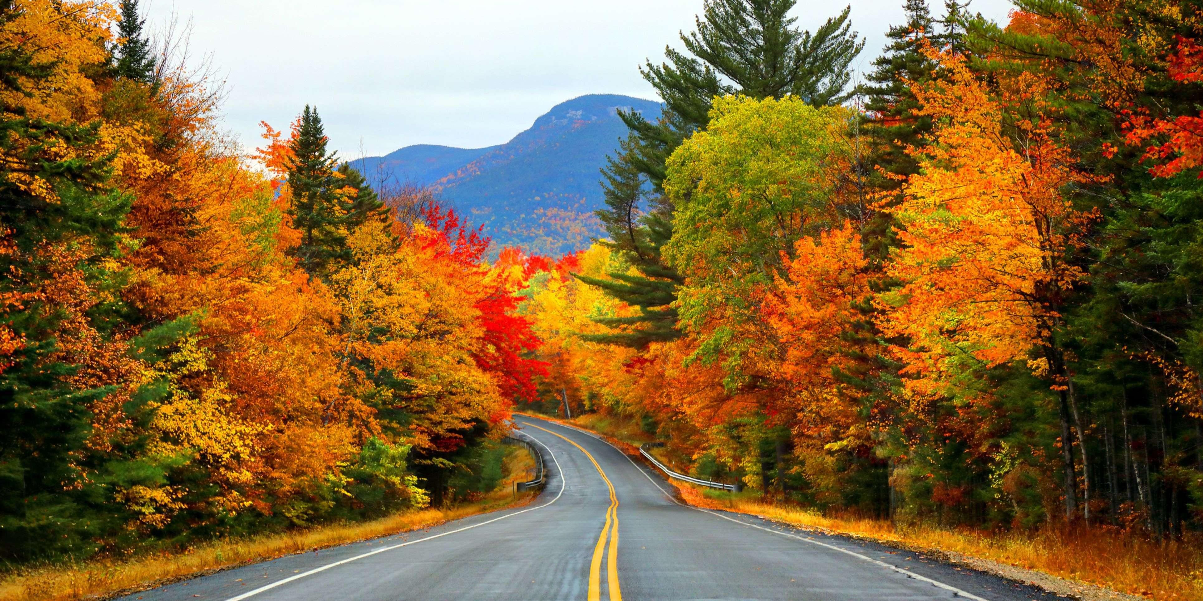 Autumn us. Осенняя дорога. Дорога в осень. Осенняя дорога в горах. Осень природа дорога.