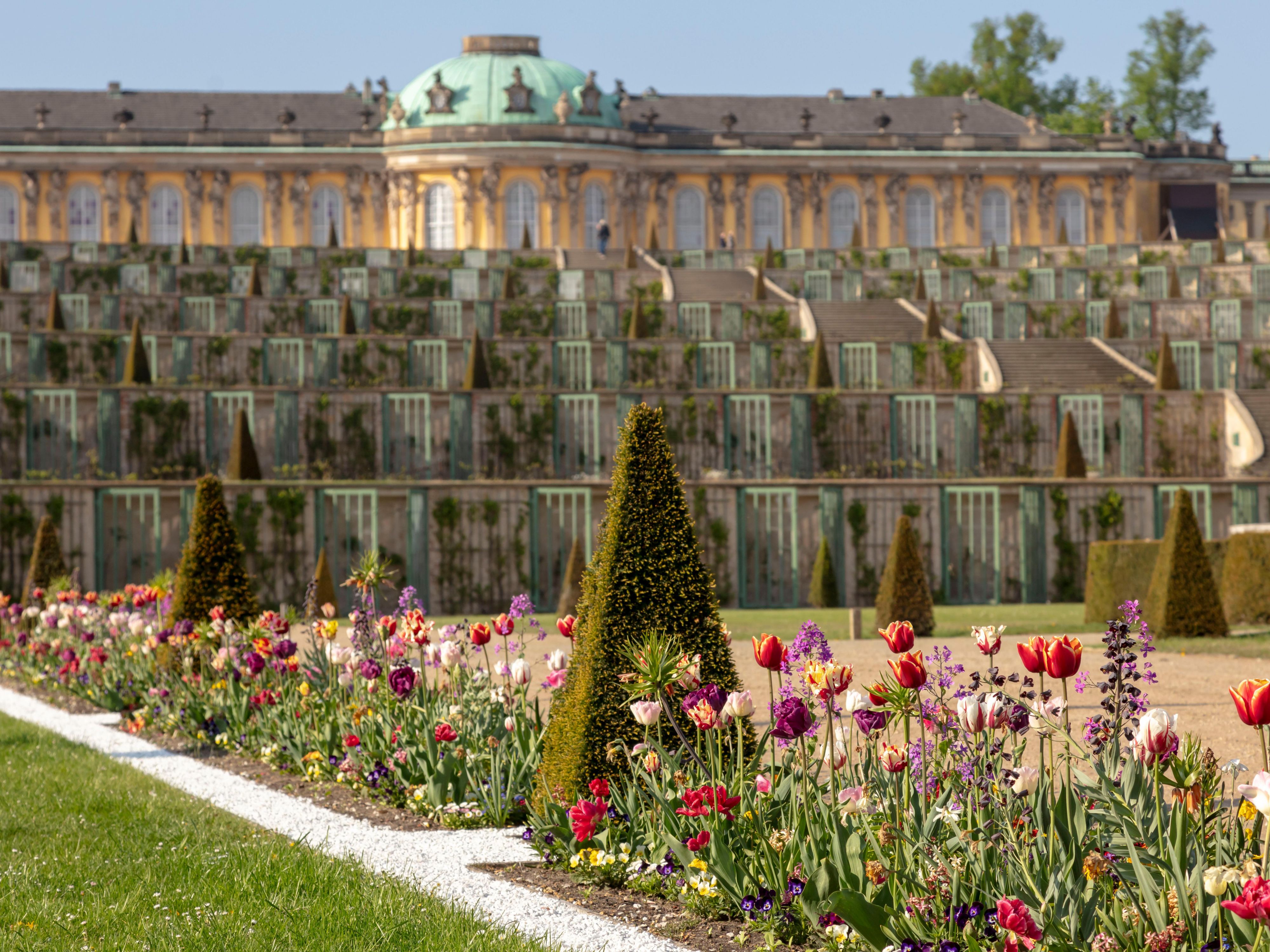 Book your Stay and Discover Potsdam