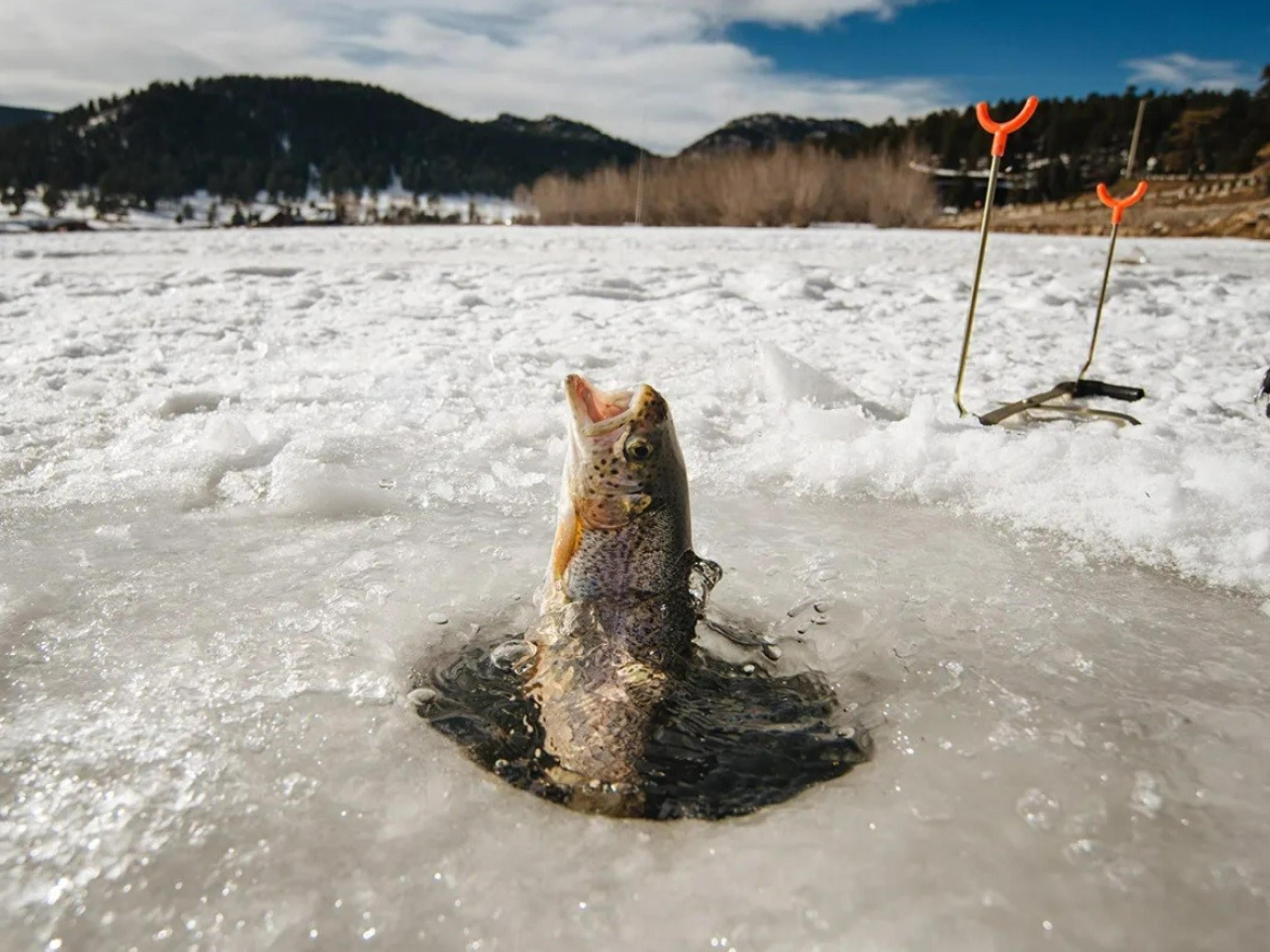 Rice Lake is known as a premier Class A1 Musky fishery, and late fall offers the best chance to land a true Wisconsin giant. These big predators feed hard before the freeze. Get comfortable at the Holiday Inn Express and then go land the fish of a lifetime before the season ends on December 31st! Call for direct booking. 