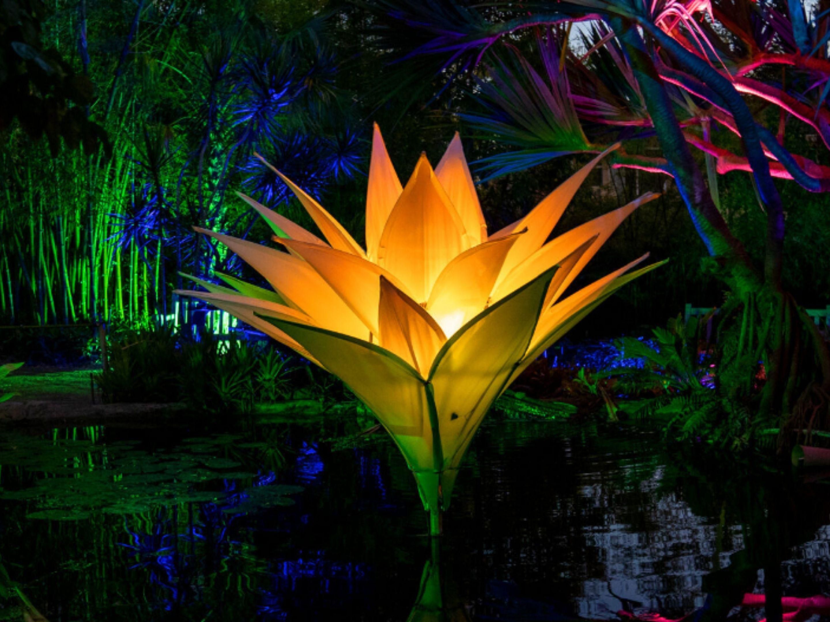 Holiday Nights at Lightscape