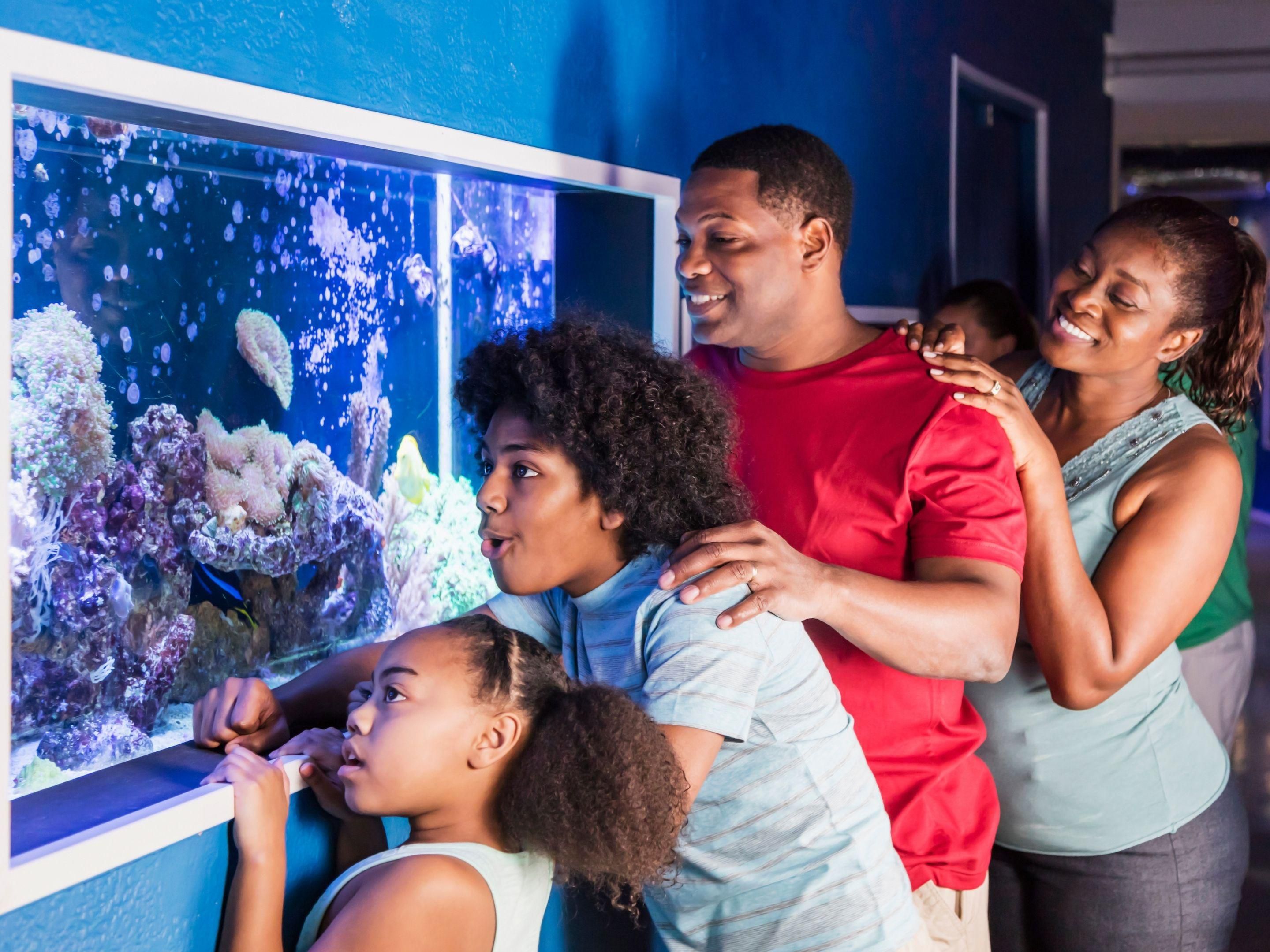 Kids Free October in San Diego