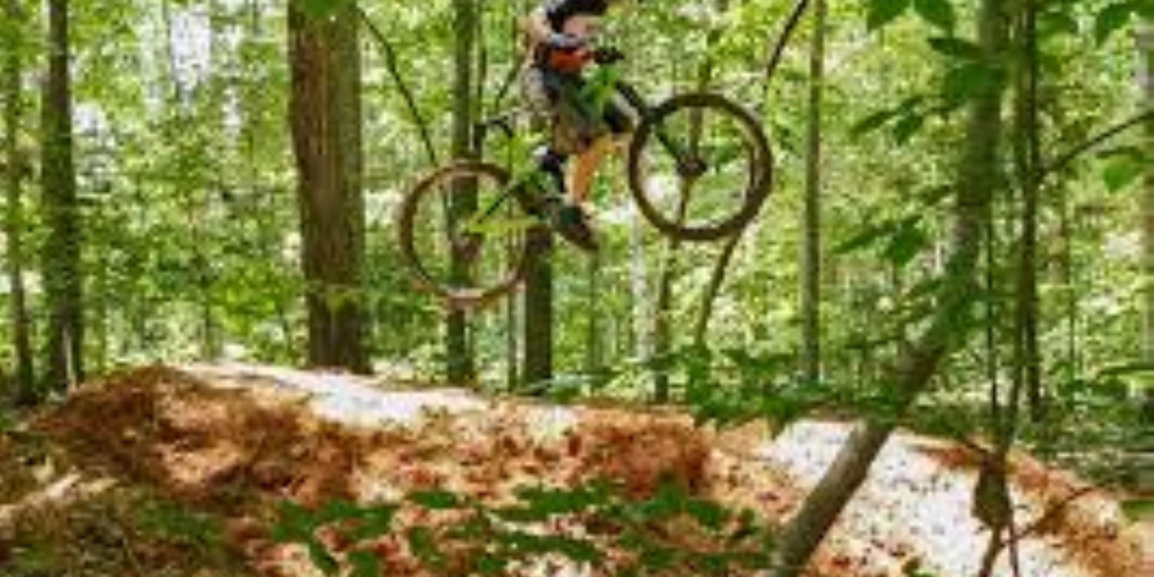 PetFriendly Hotels in Sanford, NC Holiday Inn Express & Suites Sanford