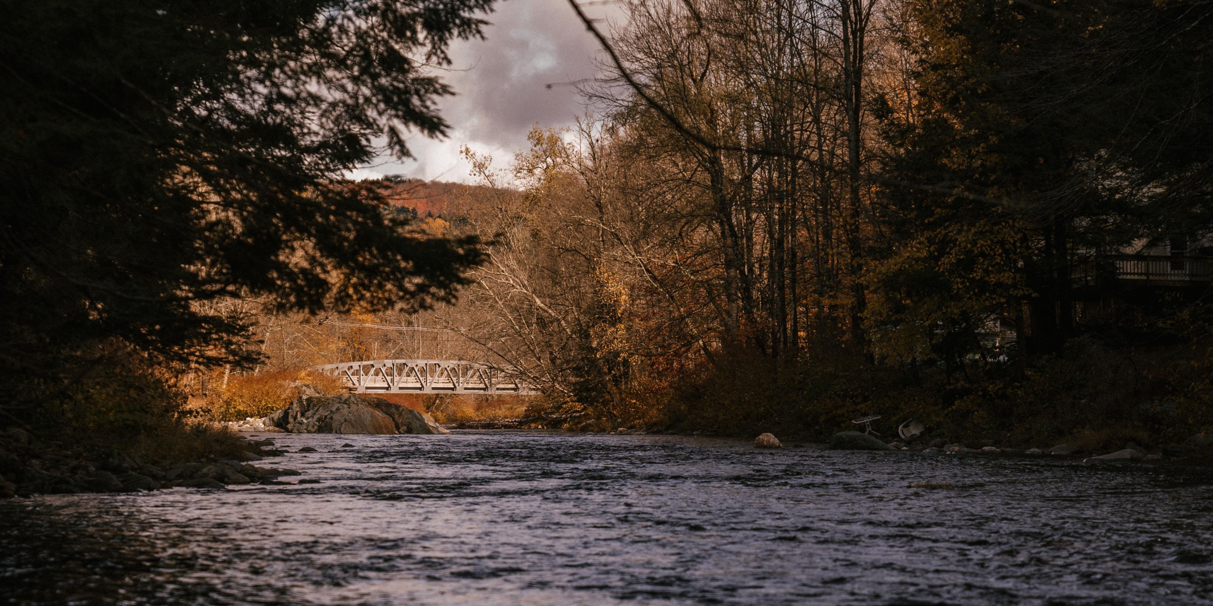 PetFriendly Hotels in Sanford, NC Holiday Inn Express & Suites Sanford