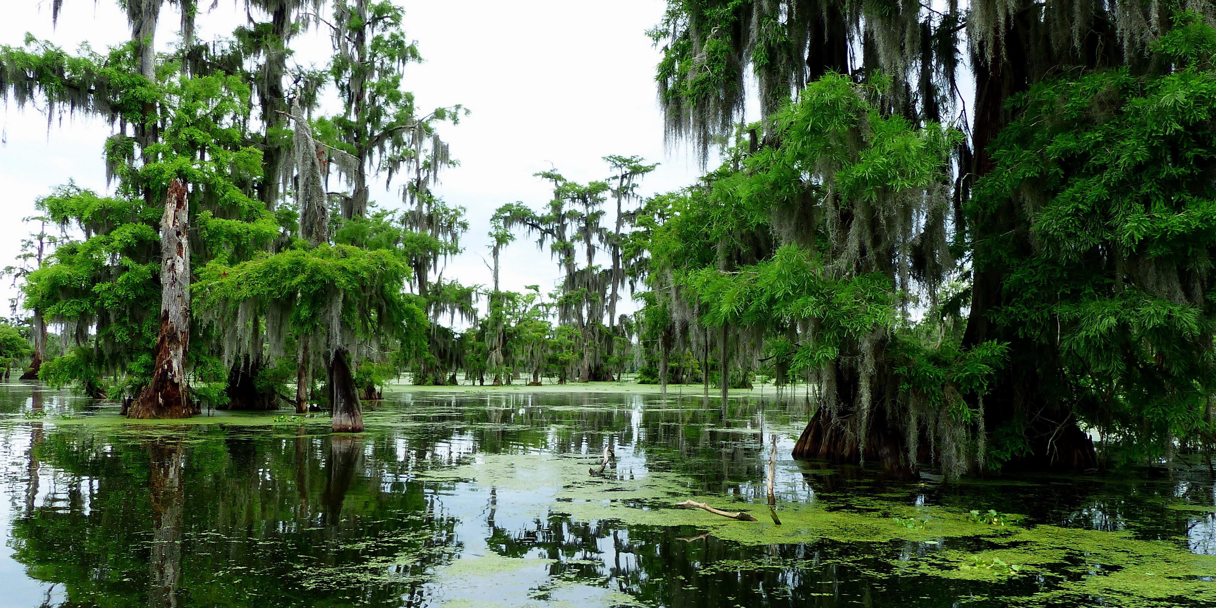 Stay with us and experience some of the best Southern Cajun Hospitality around. We strive to make you feel at home as one of our family. 