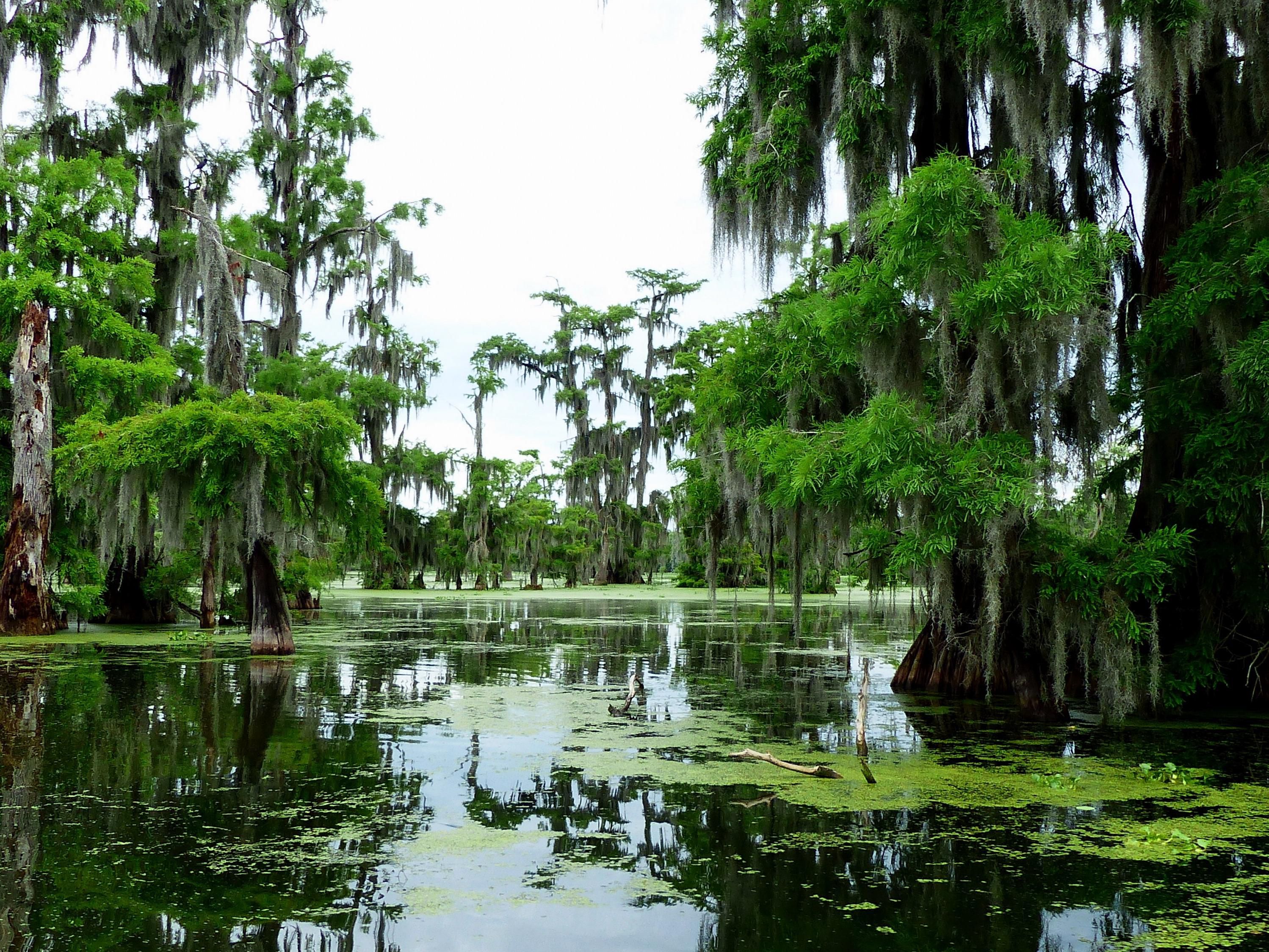Stay with us and experience some of the best Southern Cajun Hospitality around. We strive to make you feel at home as one of our family. 
