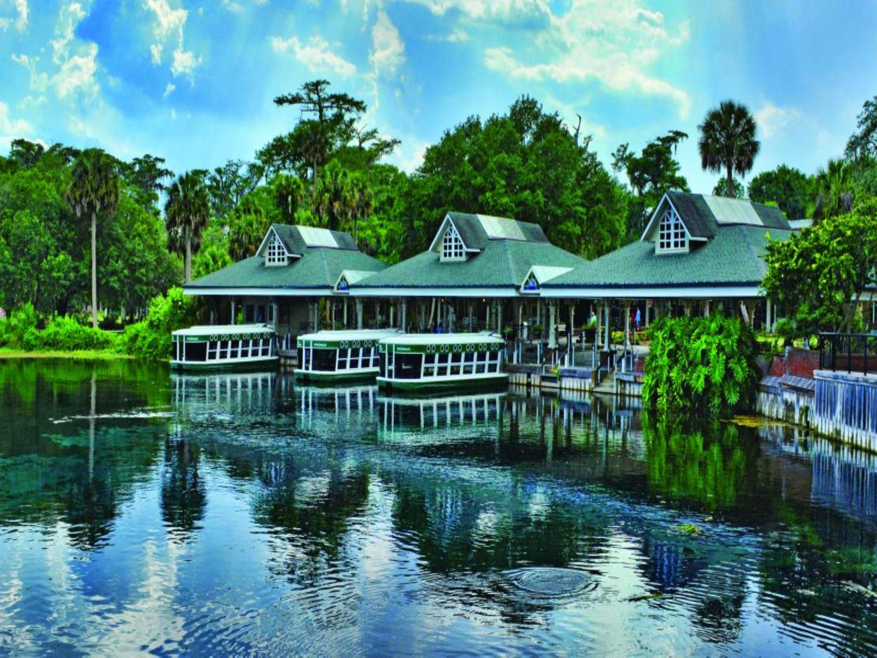 Everyone is captivated by the stunning beauty and crystal clear water of one of America's largest springs since the 1870's.