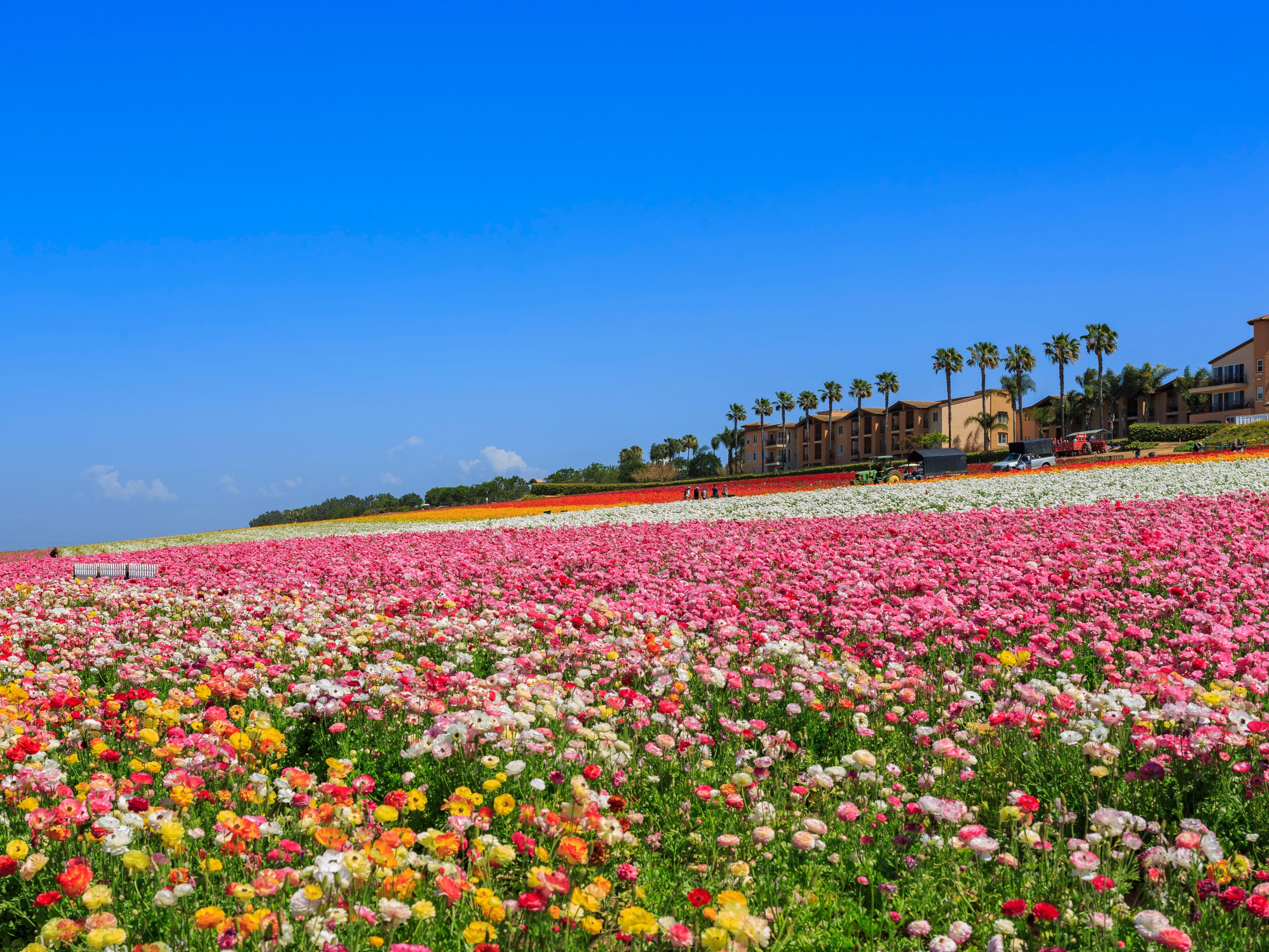 Solana Beach Hotel | Holiday Inn Express & Suites Solana Beach-Del Mar