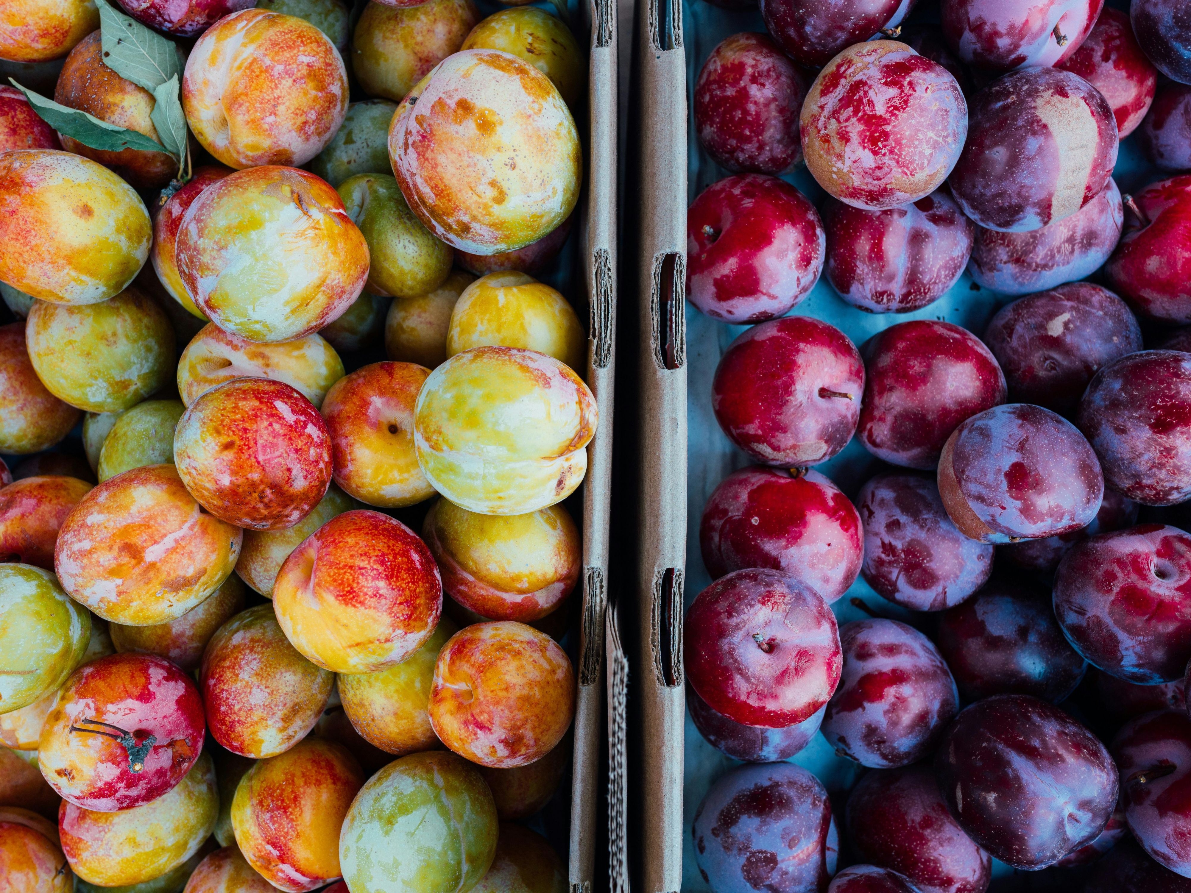 The Solana Beach Farmers Market takes place every Sunday from 12 to 4 pm on Cedros Avenue in the heart of Solana Beach. Voted one of San Diego’s top farmers markets, it features organic produce, fresh seafood, baked goods, flowers, crafts, and live music. Surrounded by galleries, shops, and restaurants, it’s the perfect way to enjoy Solana Beach.