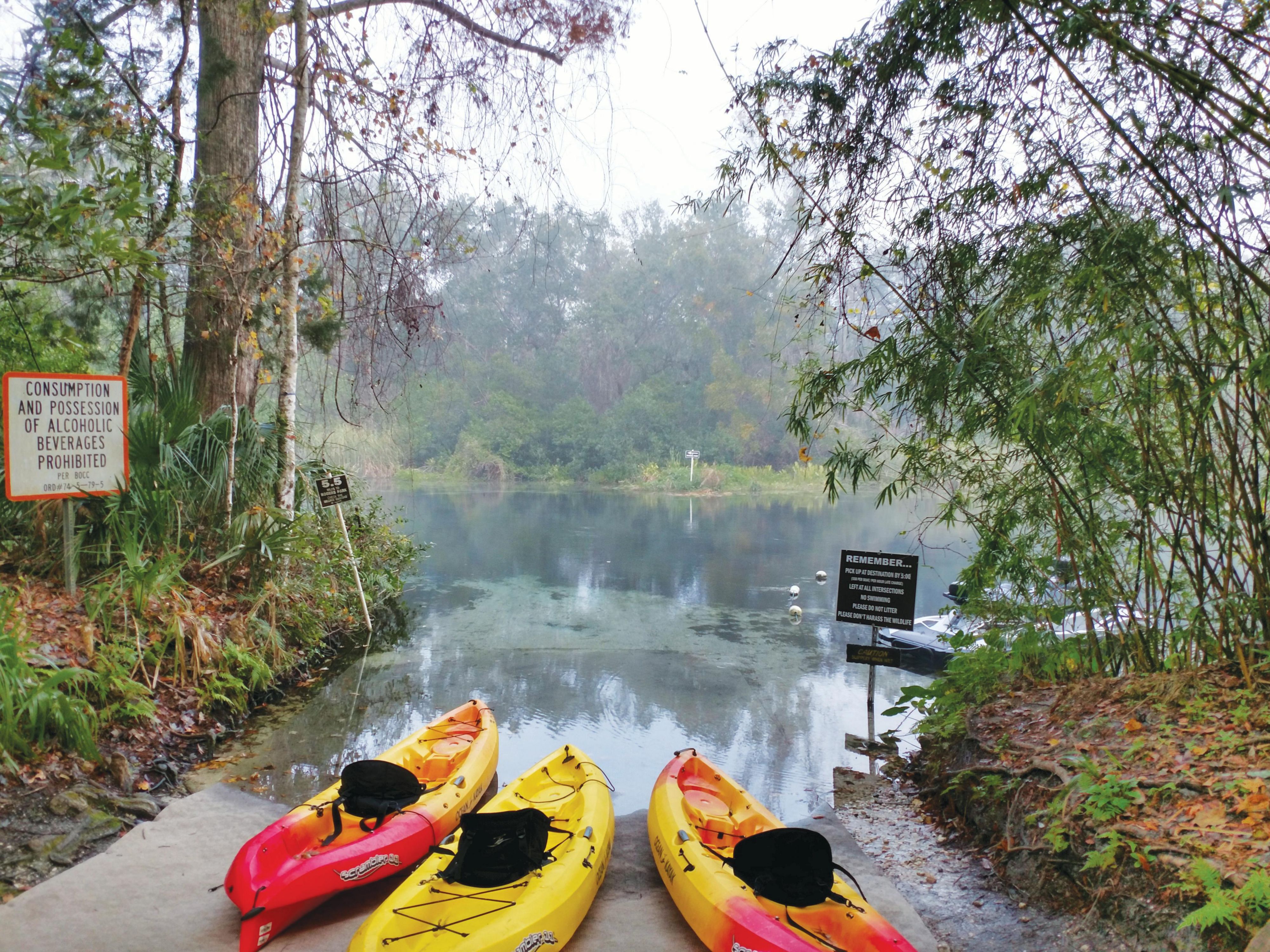Only a five-minute drive from the world-famous Weeki Wachee State Park, Holiday Inn Express & Suites Spring Hill is the perfect choice for visitors seeking natural beauty and adventure. Enjoy easy access to the park's enchanting springs, thrilling water slides, and captivating mermaid shows, promising a memorable stay for guests of all ages.
