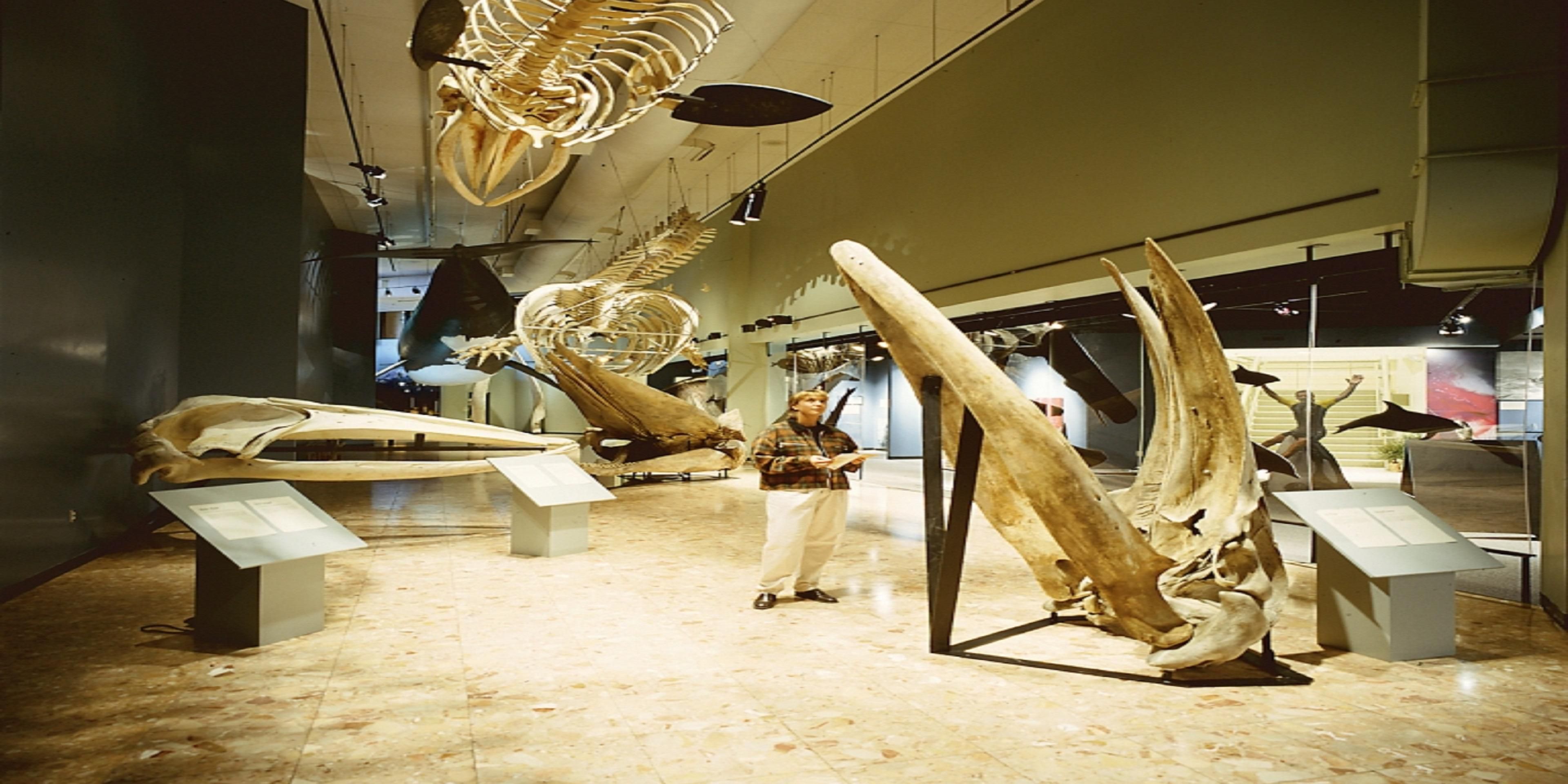 Holiday Inn Express Suites Saint John Harbour Side Ihg Hotel