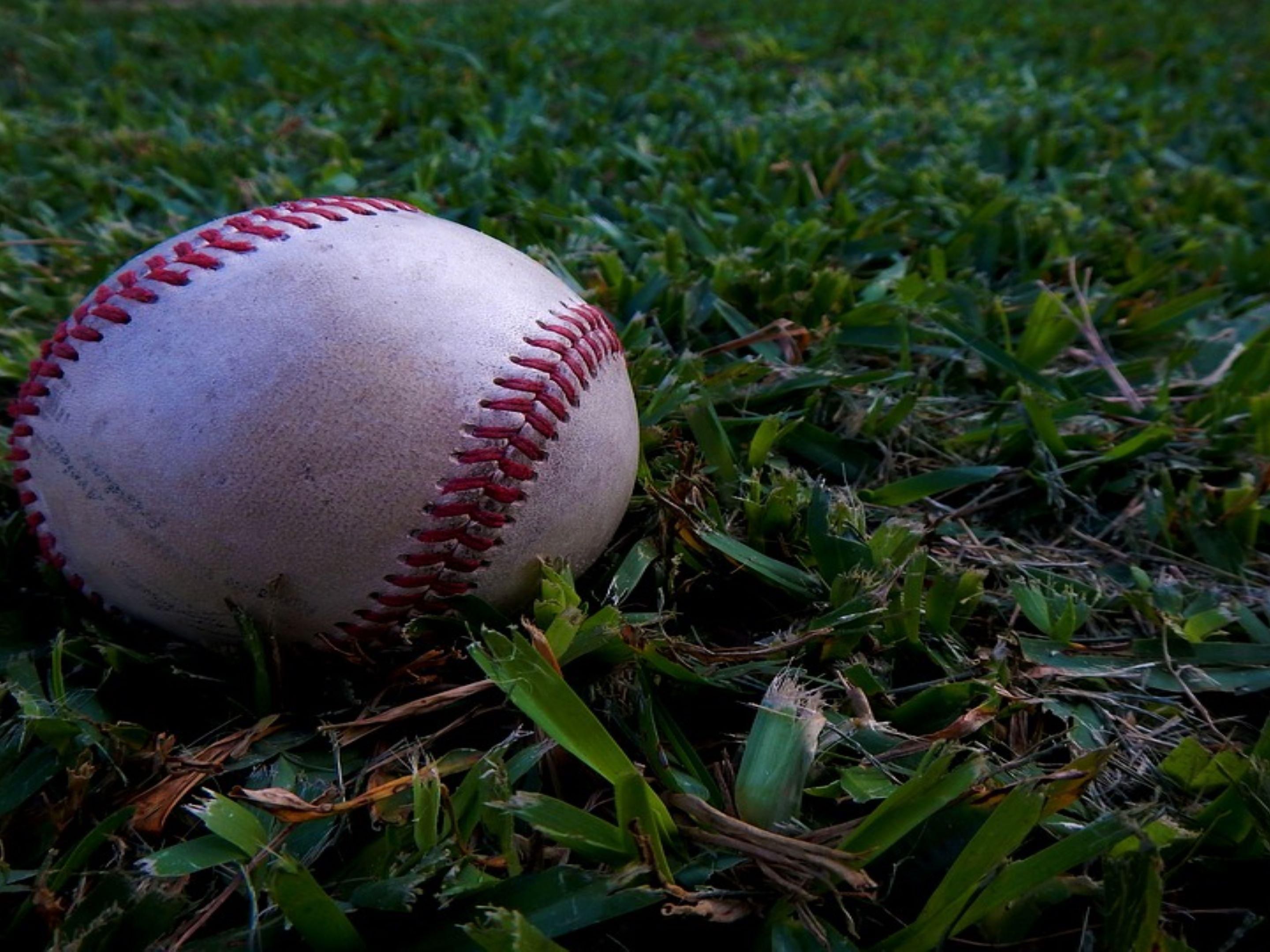 Baseball Season is Here!