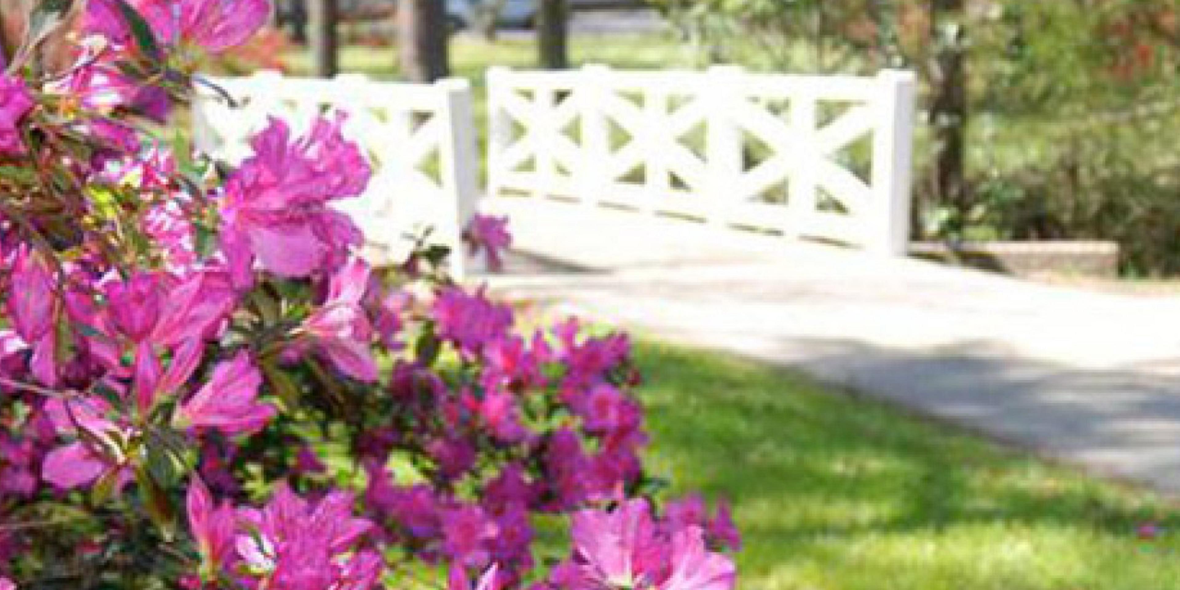 Take a day trip to the past and visit the historic gardens off scenic Hwy 61. Magnolia Plantation & Gardens, Middleton Place and Drayton Hall all feature historic homes and unique flowers that can bloom year round. Spend the day roaming the gardens and enjoy the fresh air.