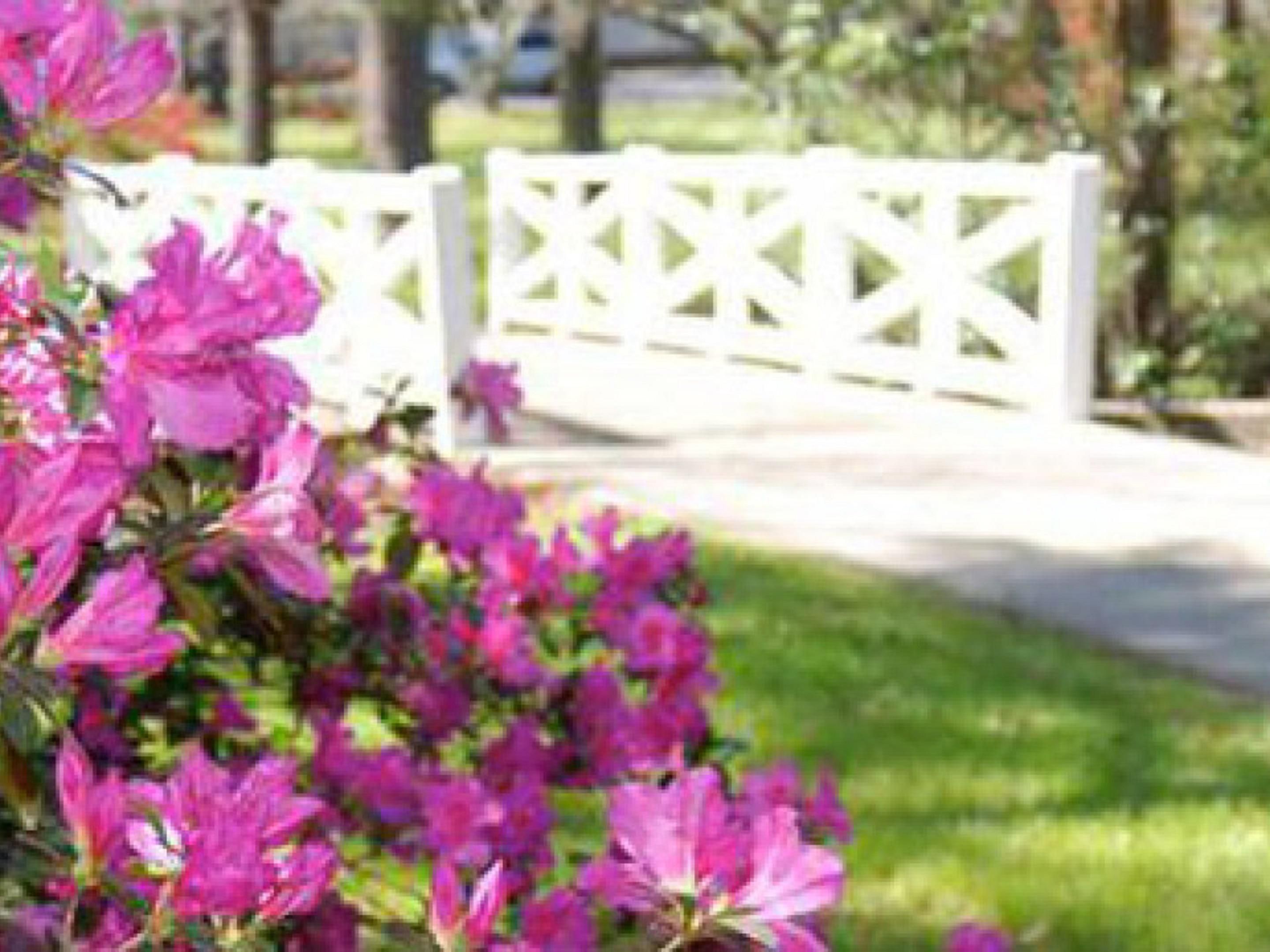 Take a day trip to the past and visit the historic gardens off scenic Hwy 61. Magnolia Plantation & Gardens, Middleton Place and Drayton Hall all feature historic homes and unique flowers that can bloom year round. Spend the day roaming the gardens and enjoy the fresh air.