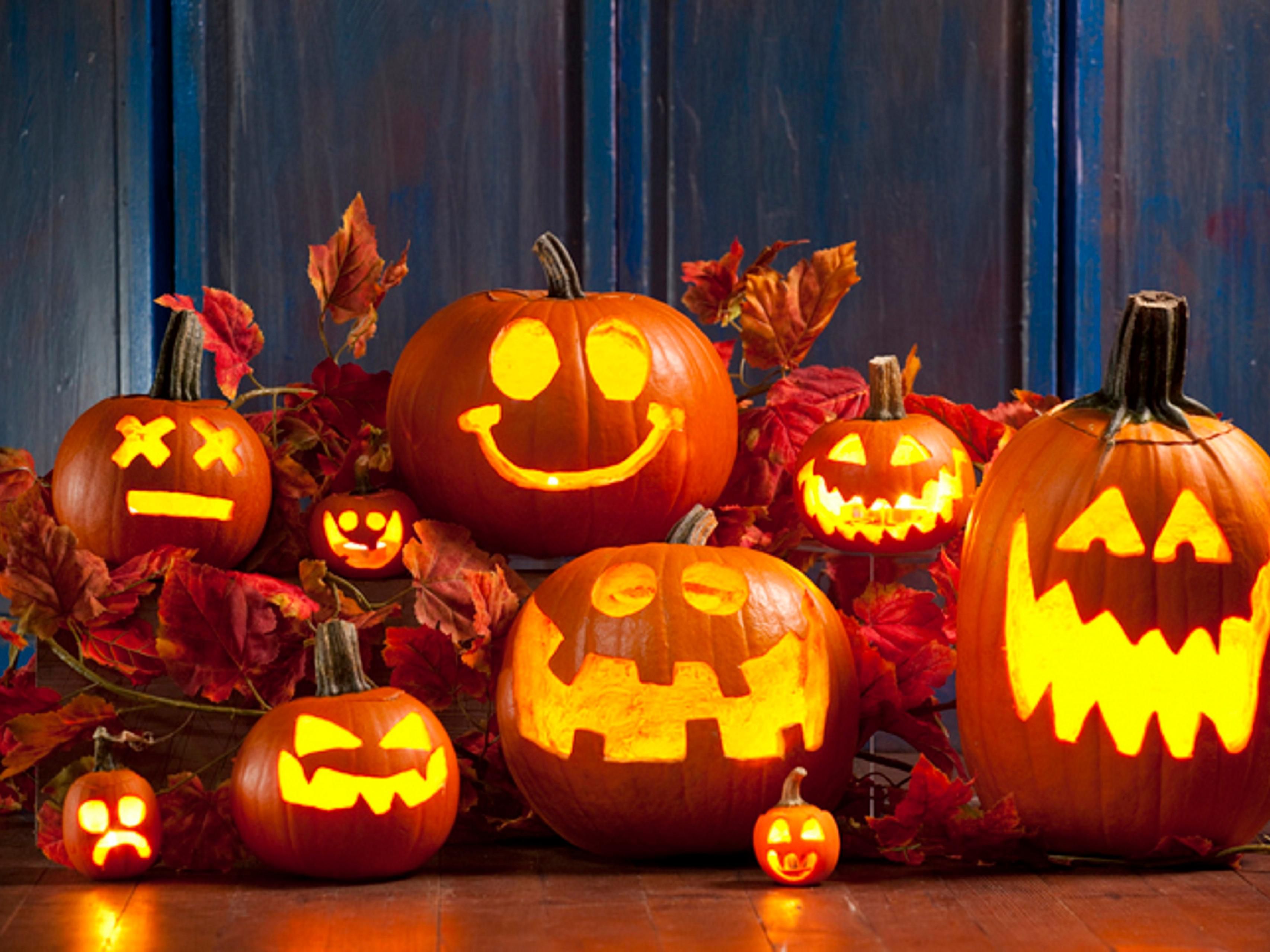 Experience the spooky thrills of Halloween Haunt at Canada’s Wonderland and daytime fun for kids at Camp Spooky! Just 15 minutes from the park, we offer family-friendly rooms and easy access to all the excitement. After a day filled with scares and smiles, unwind in comfort close to the action. Book your stay today for 