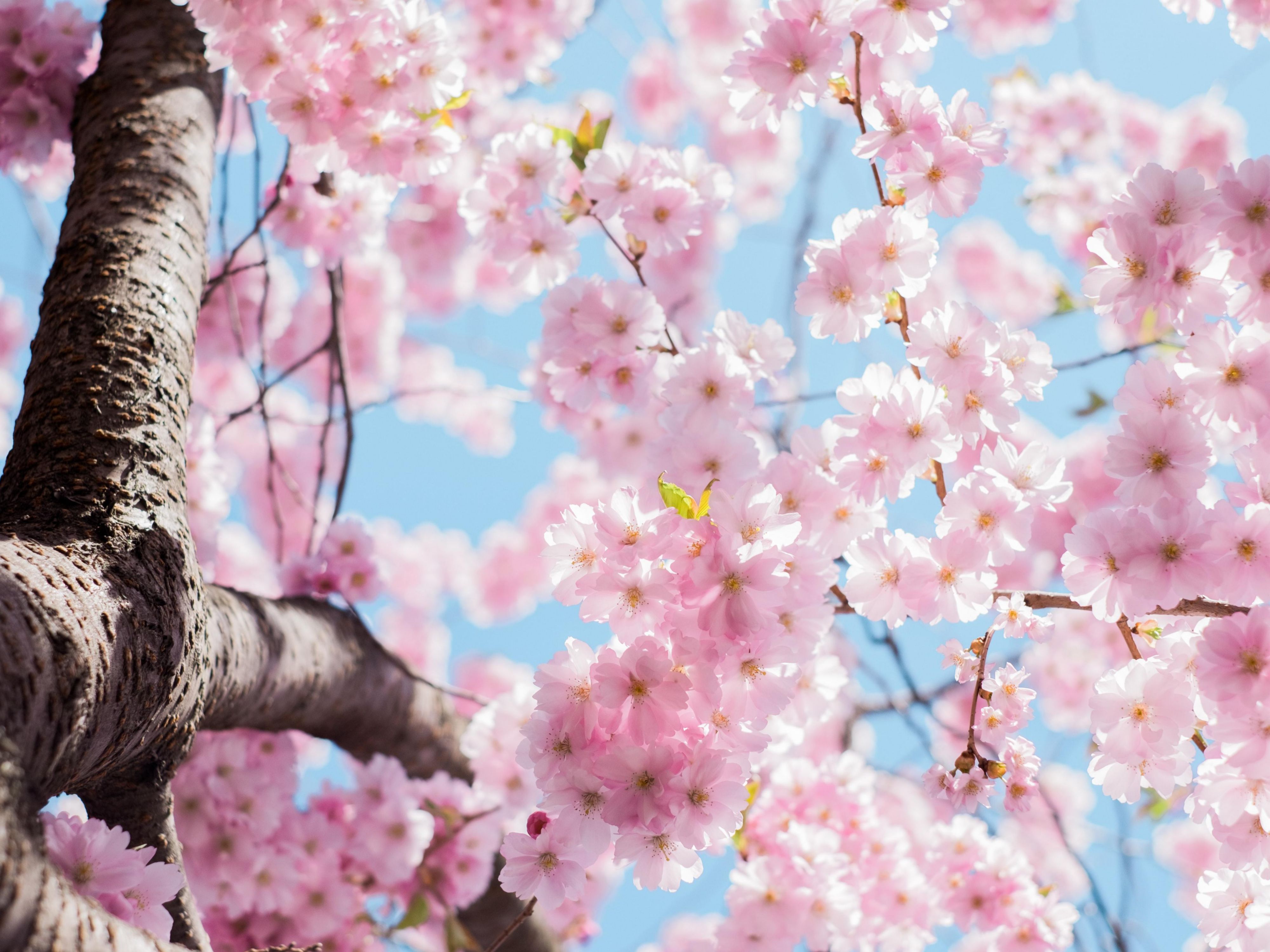 Spring into Savings in Waukegan