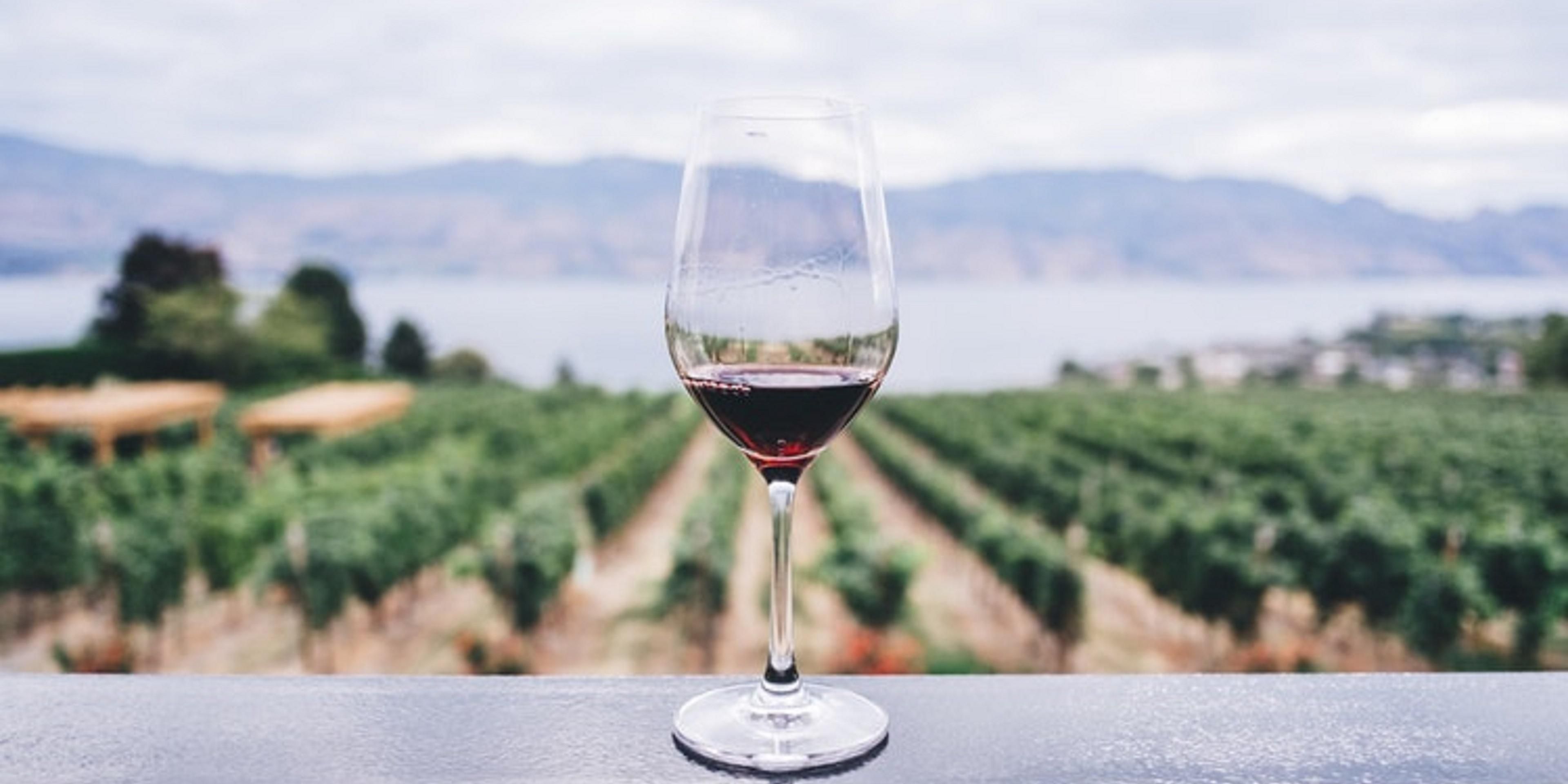 Looking for wine tastings and food truck pairings? Head 10 minutes over to Chaddsford Winery and prepare to be delighted.