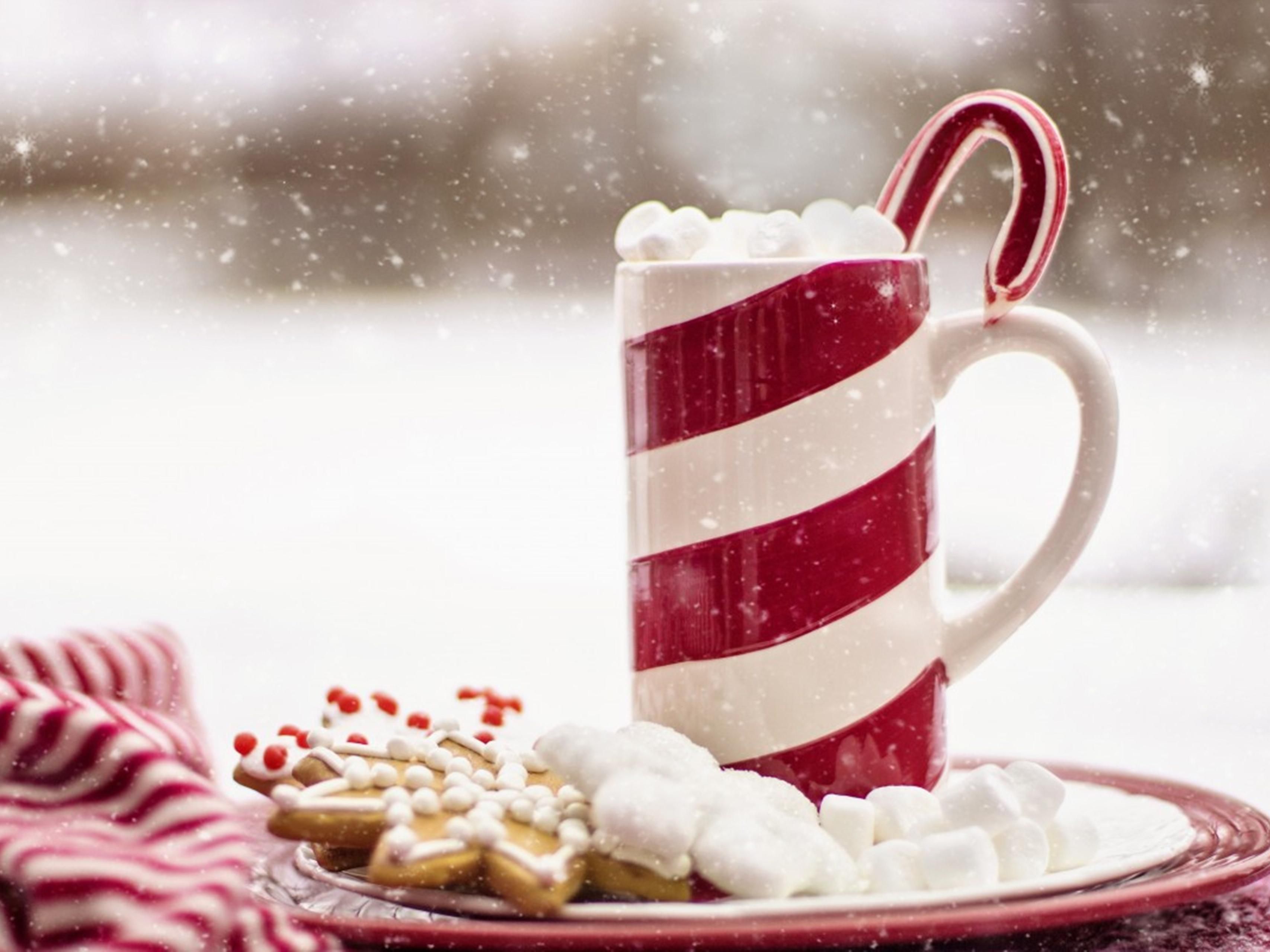 Kraynak's has been a must-see attraction in the Hermitage area for 75 years. It is home of Santa's Christmasland and Easter Bunny Lane. It also has a vast nursery for your summer needs too!