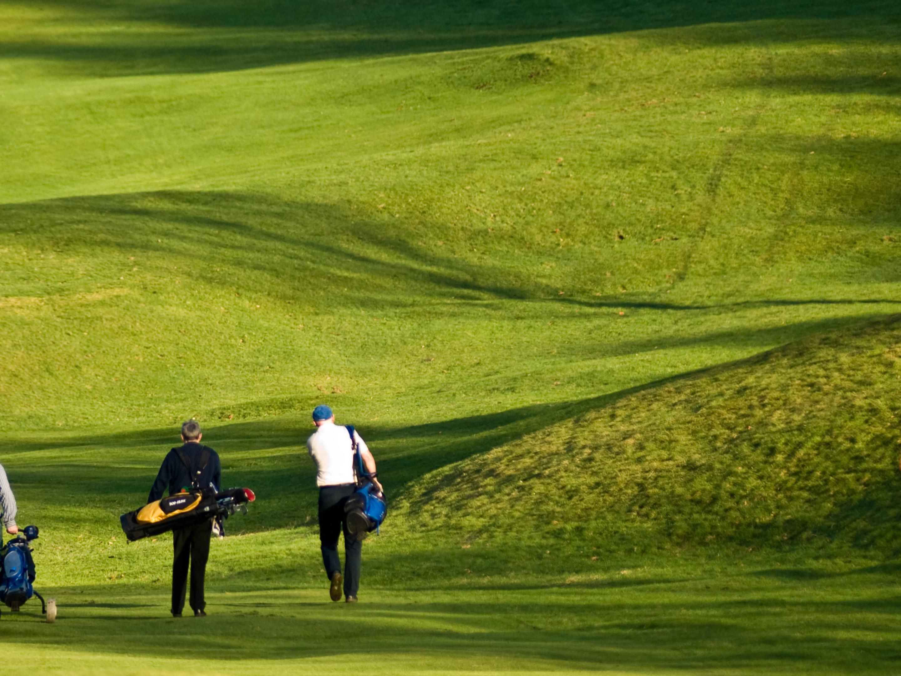 Let's Go Golfing