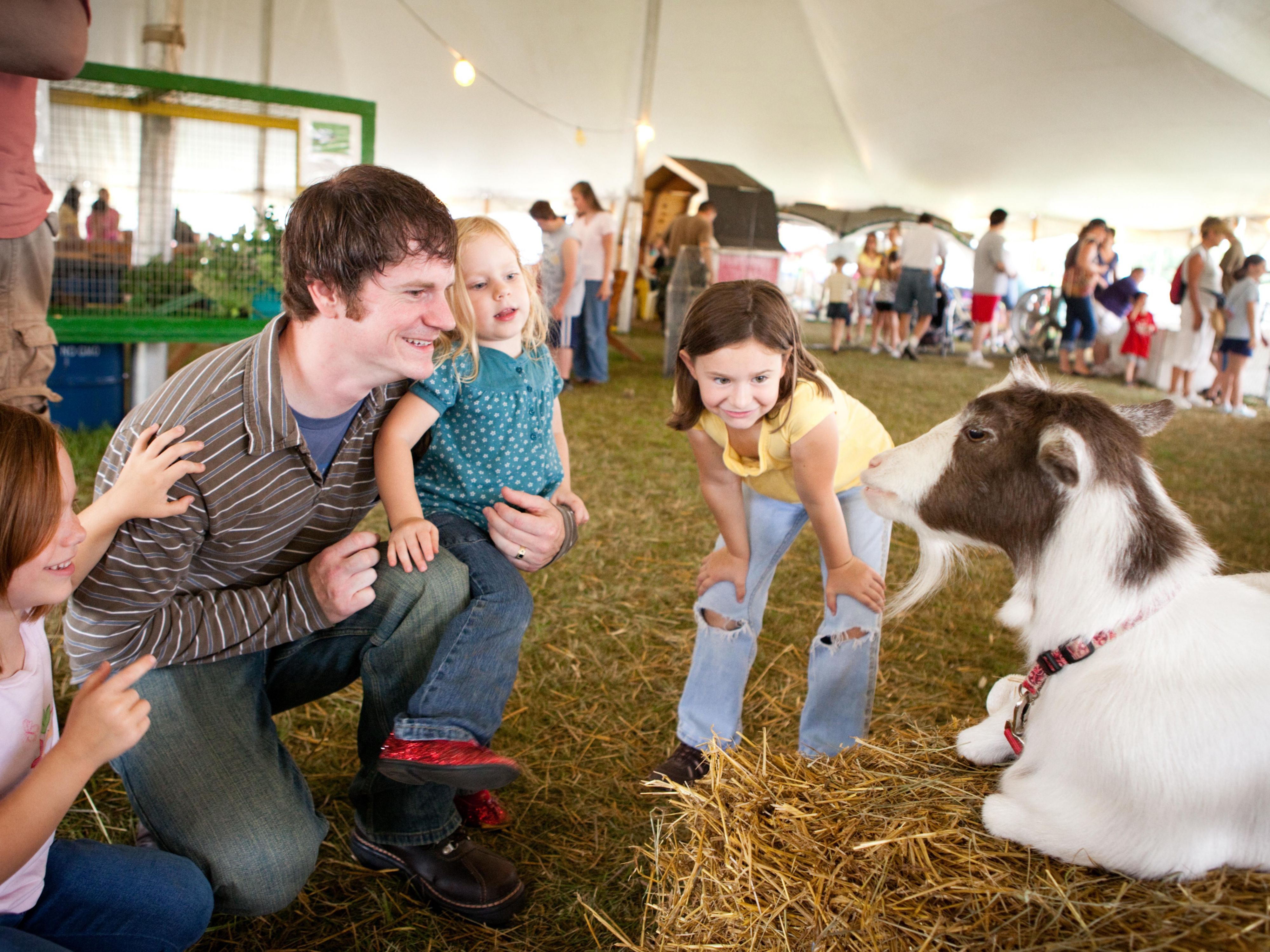 Royal Bath and West Show