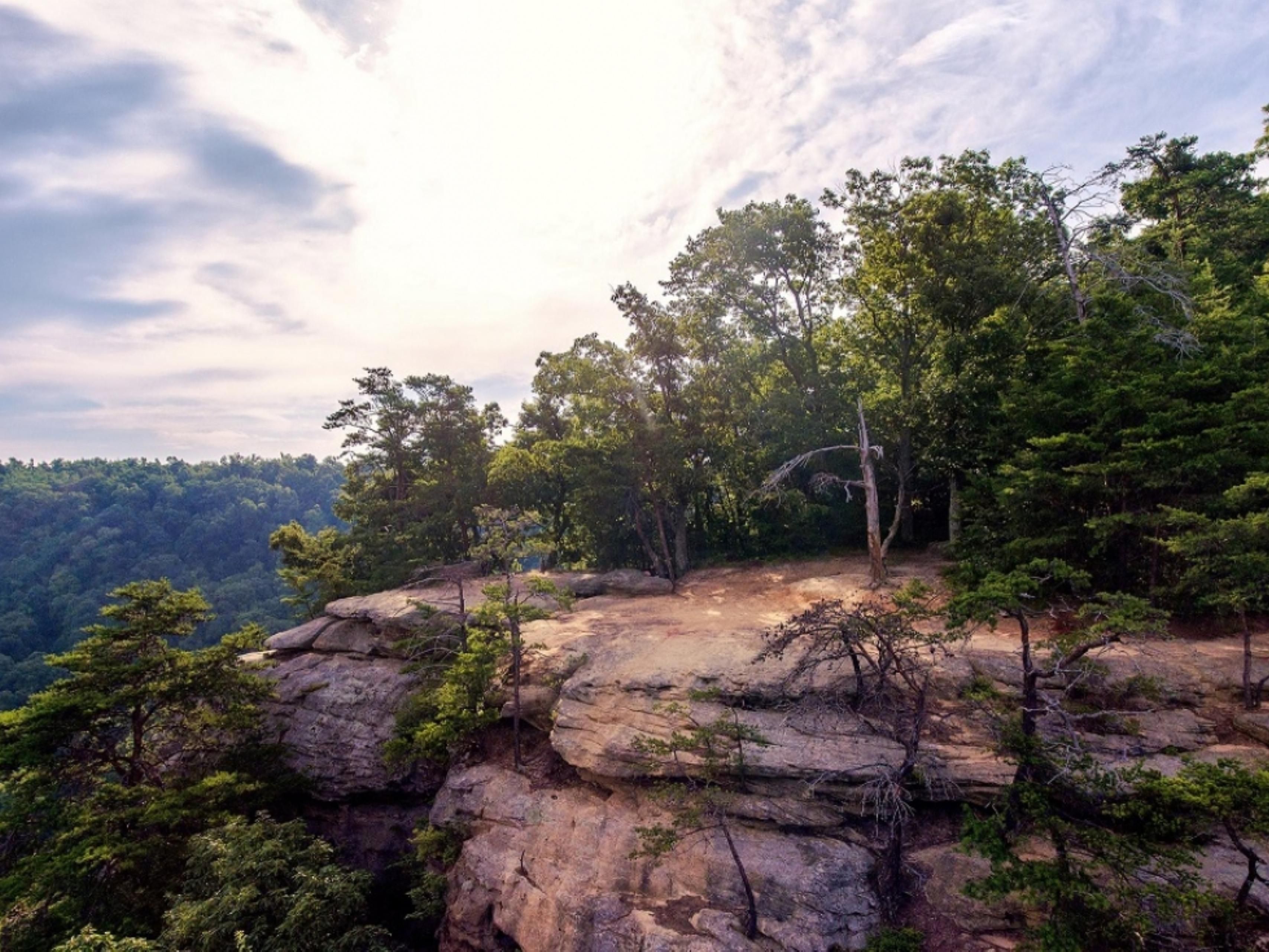 The Pinnacles in the Berea College Forest were recently recognized as the best hike in Kentucky. Just a few miles from the hotel to start your hike. 
