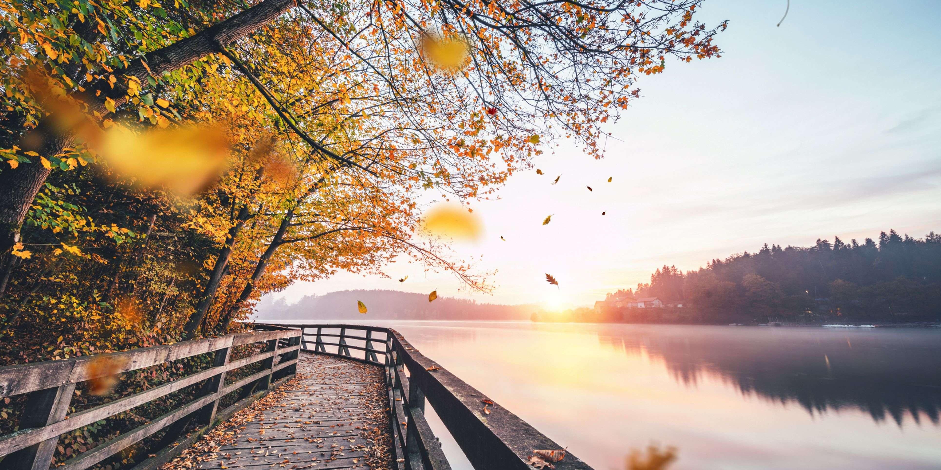The Blue Ridge Parkway is a National Parkway and All-American Road in the United States, noted for its scenic beauty. We are a convenient stop along the way. We look forward to hosting you.