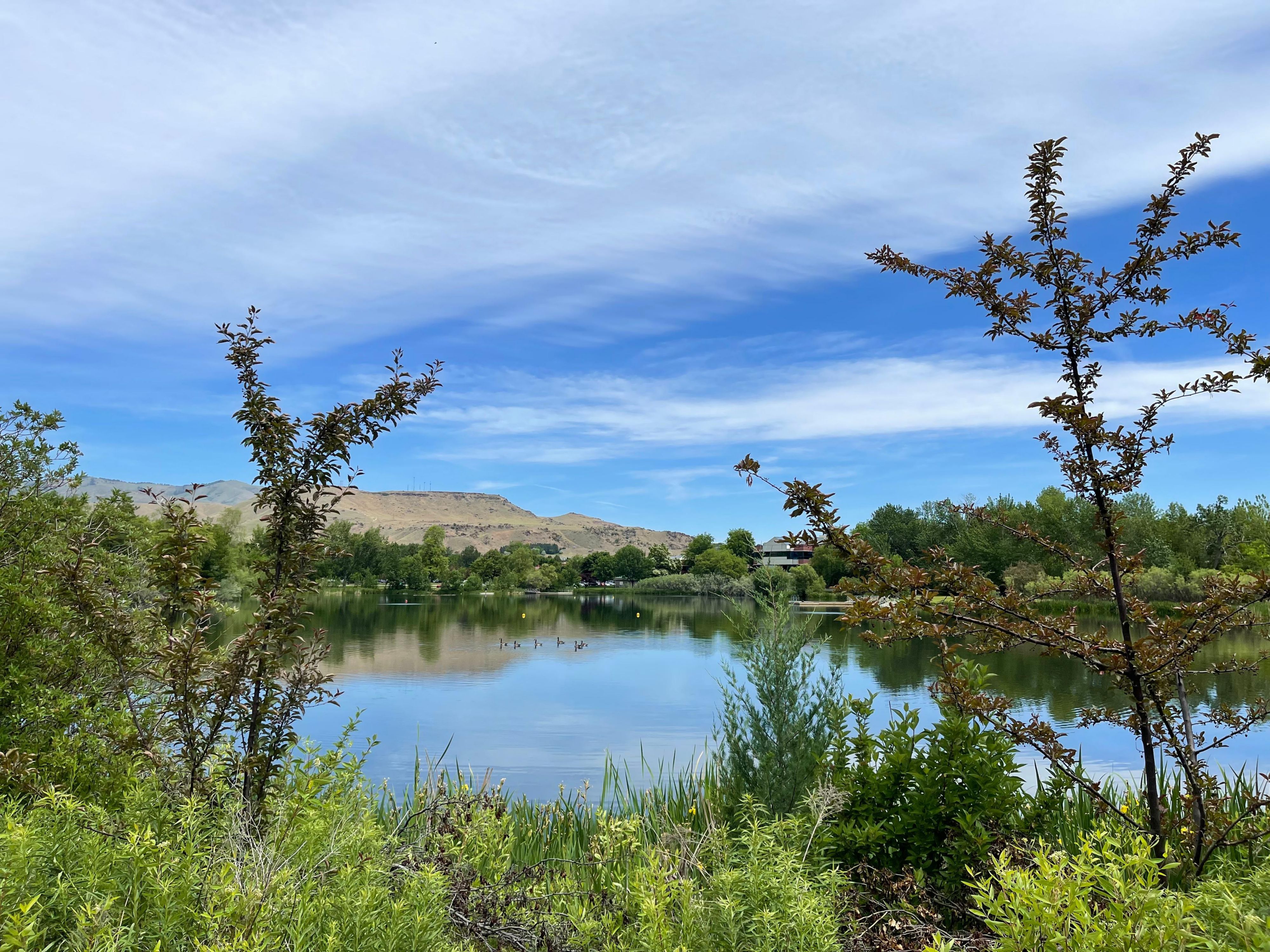 Discover the scenic Boise River Greenbelt, a beautiful walking and biking path that winds along the river through parks and nature. One of the main entrances is just across the street from the hotel perfect for a peaceful stroll or energizing morning run. Don’t miss it!