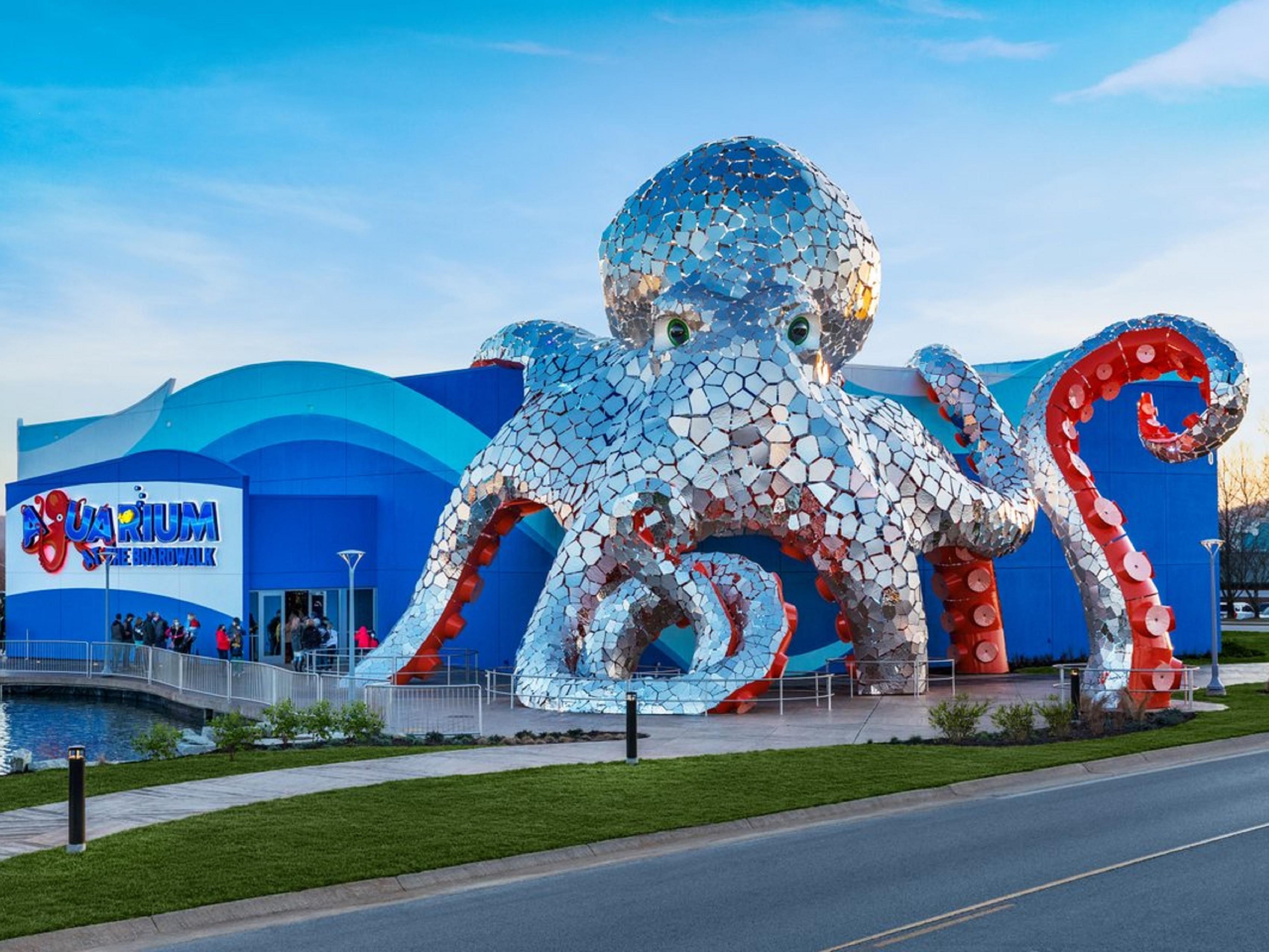 Let us help you make the most of your Branson visit. Our onsite Concierge is ready to assist with planning your itinerary, securing tickets to popular shows, and arranging visits to local attractions. From dining reservations to insider tips on the best places to explore, our concierge service ensures a personalized and enriching experience.