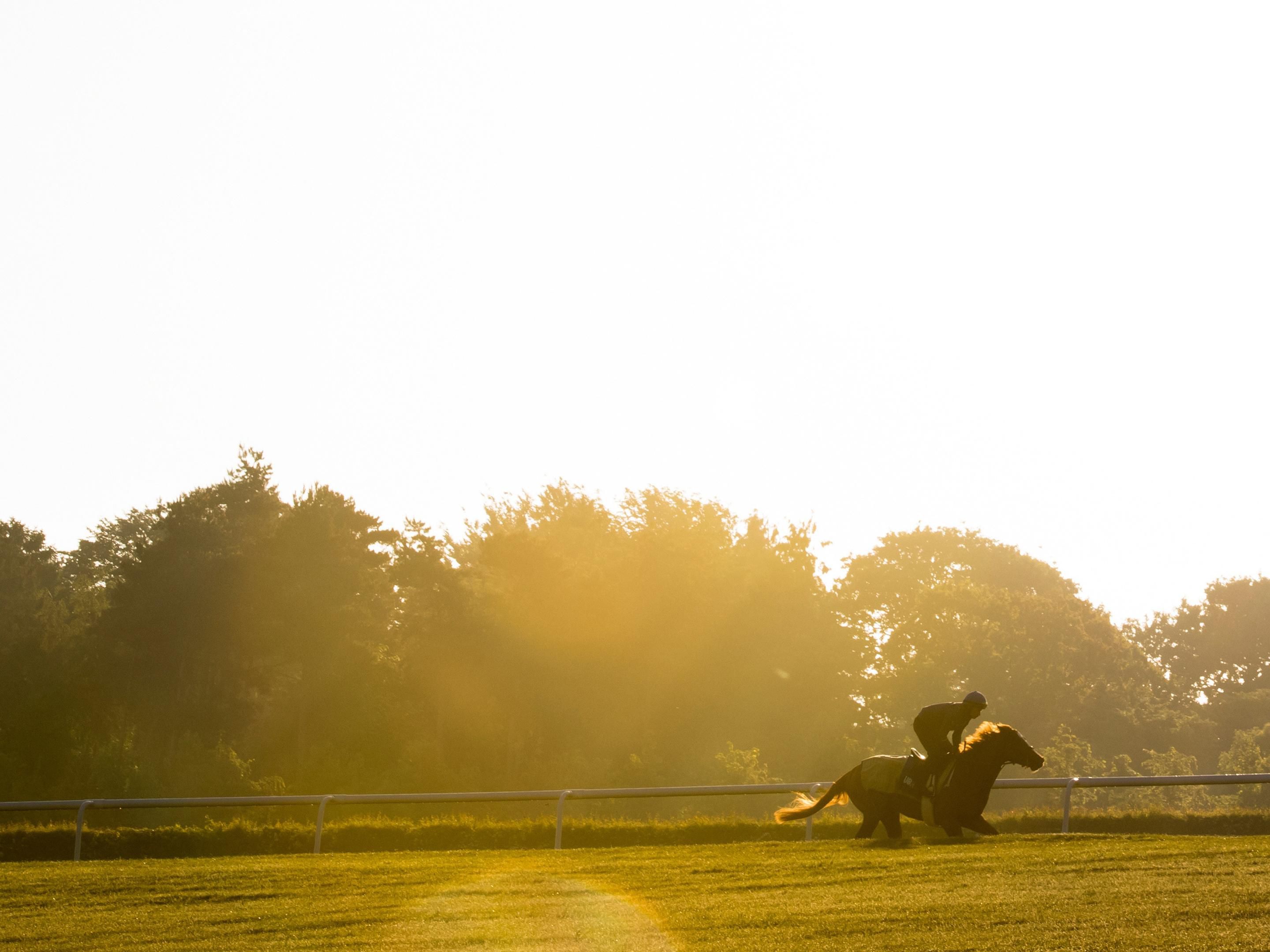 Newmarket Racecourse offers great days and nights out, so why not make a night of it and stay with us! After your day at the races, you can spend the night at the Holiday Inn Express Cambridge Duxford and wake up to breakfast, all included in your stay. 
