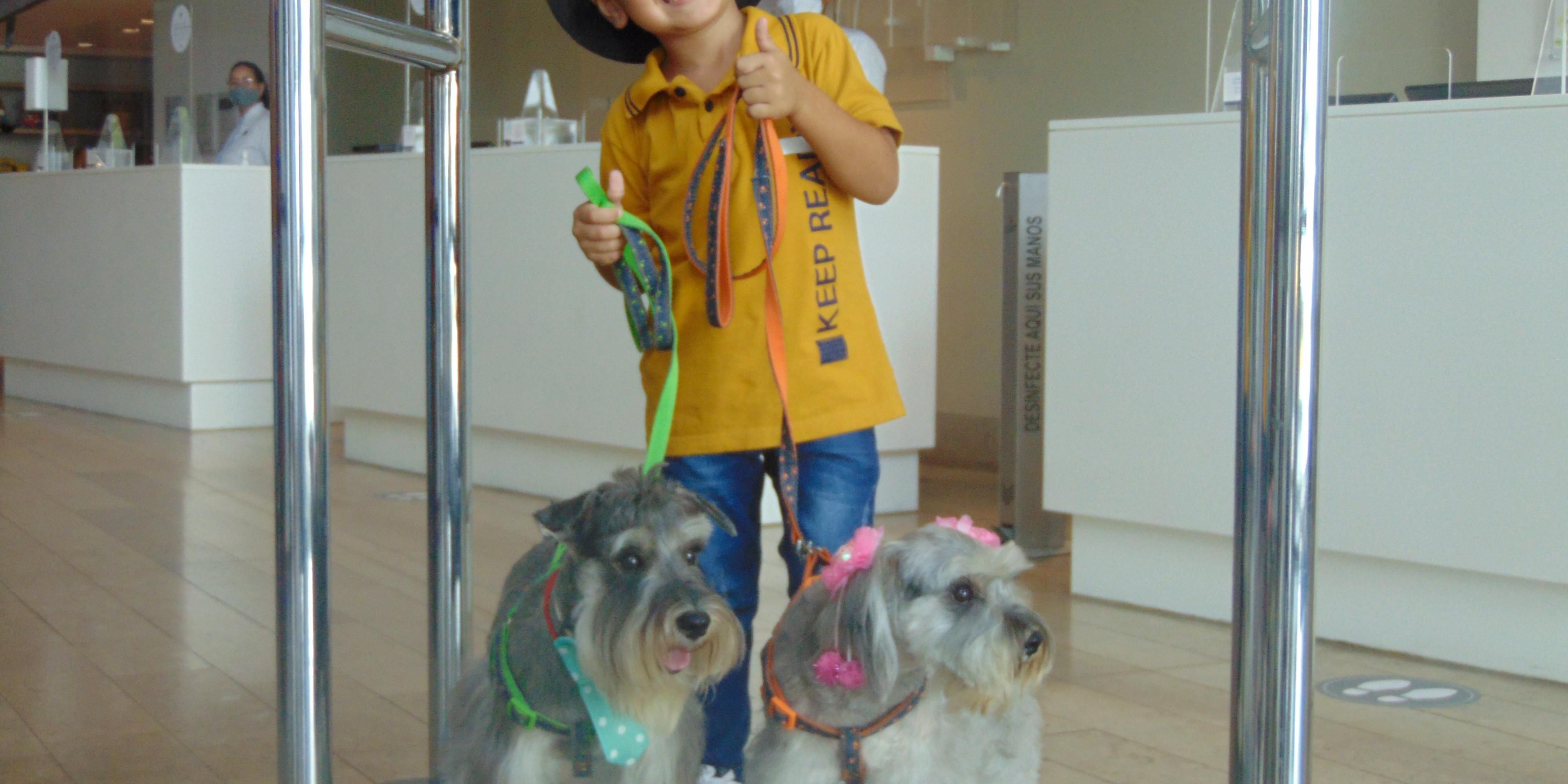 Enjoy Cartagena in company of your best furry friend, at Holiday Inn Express Bocagrande we are PETS FRIENDLY, for more information please contact us.