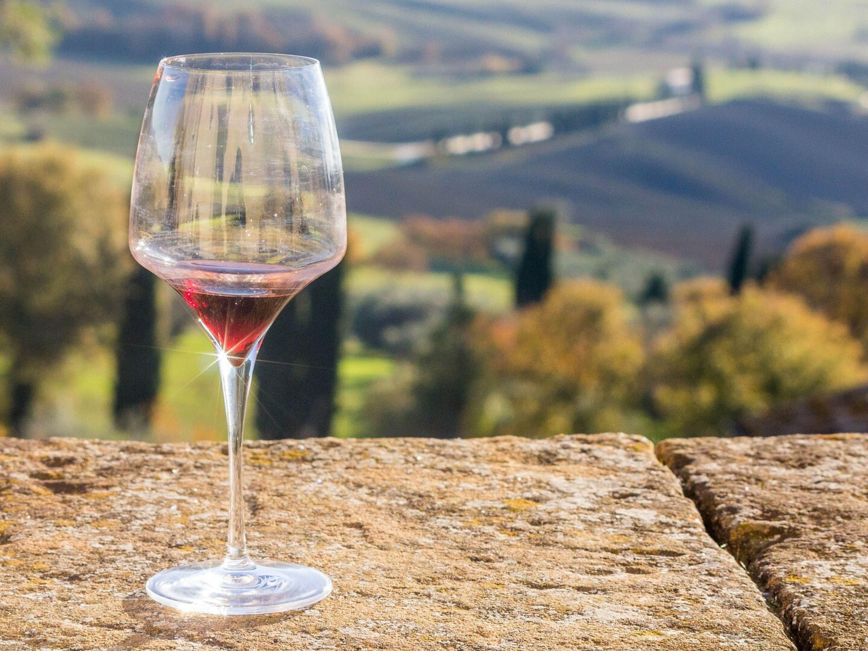 Harmony Vineyard produces outstanding wines and experiences in harmony with nature and humanity. 