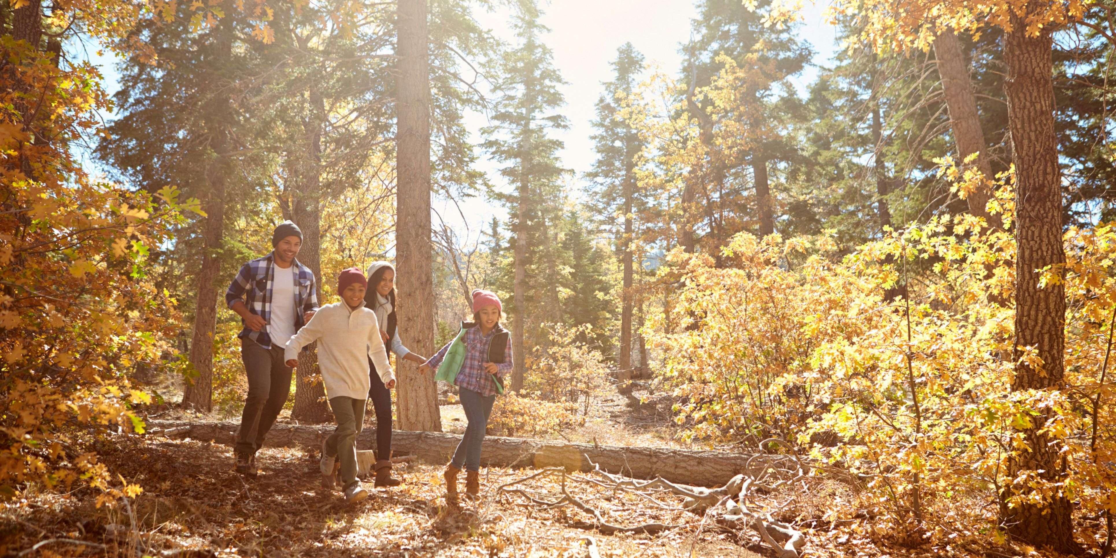 Take in a hike or enjoy one of several area parks while staying with us.