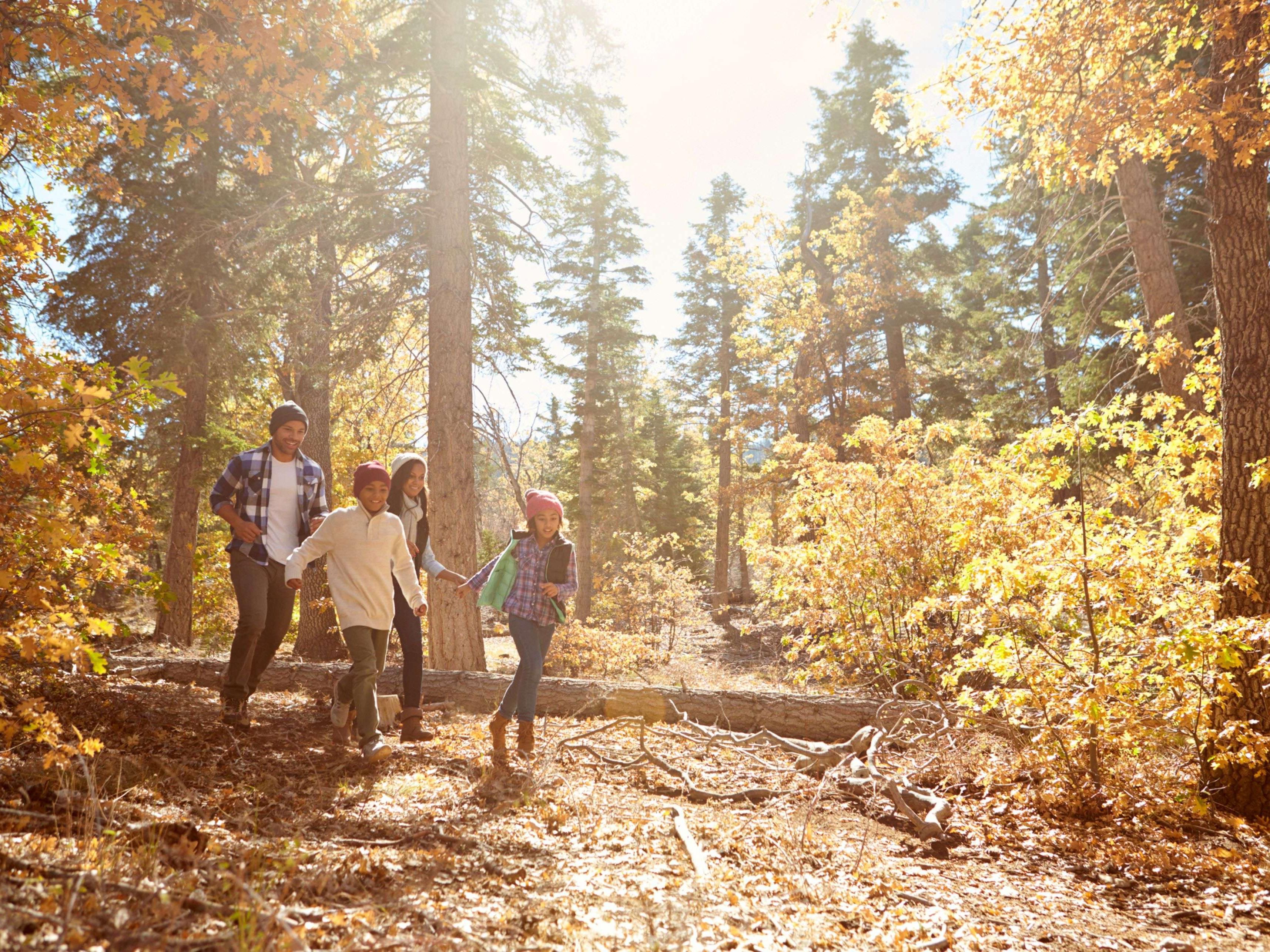 Take in a hike or enjoy one of several area parks while staying with us.