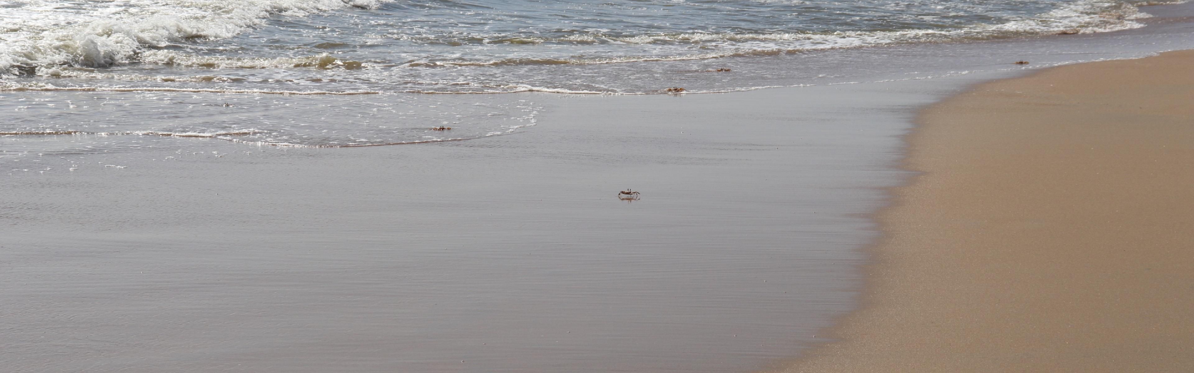 ECR Beach