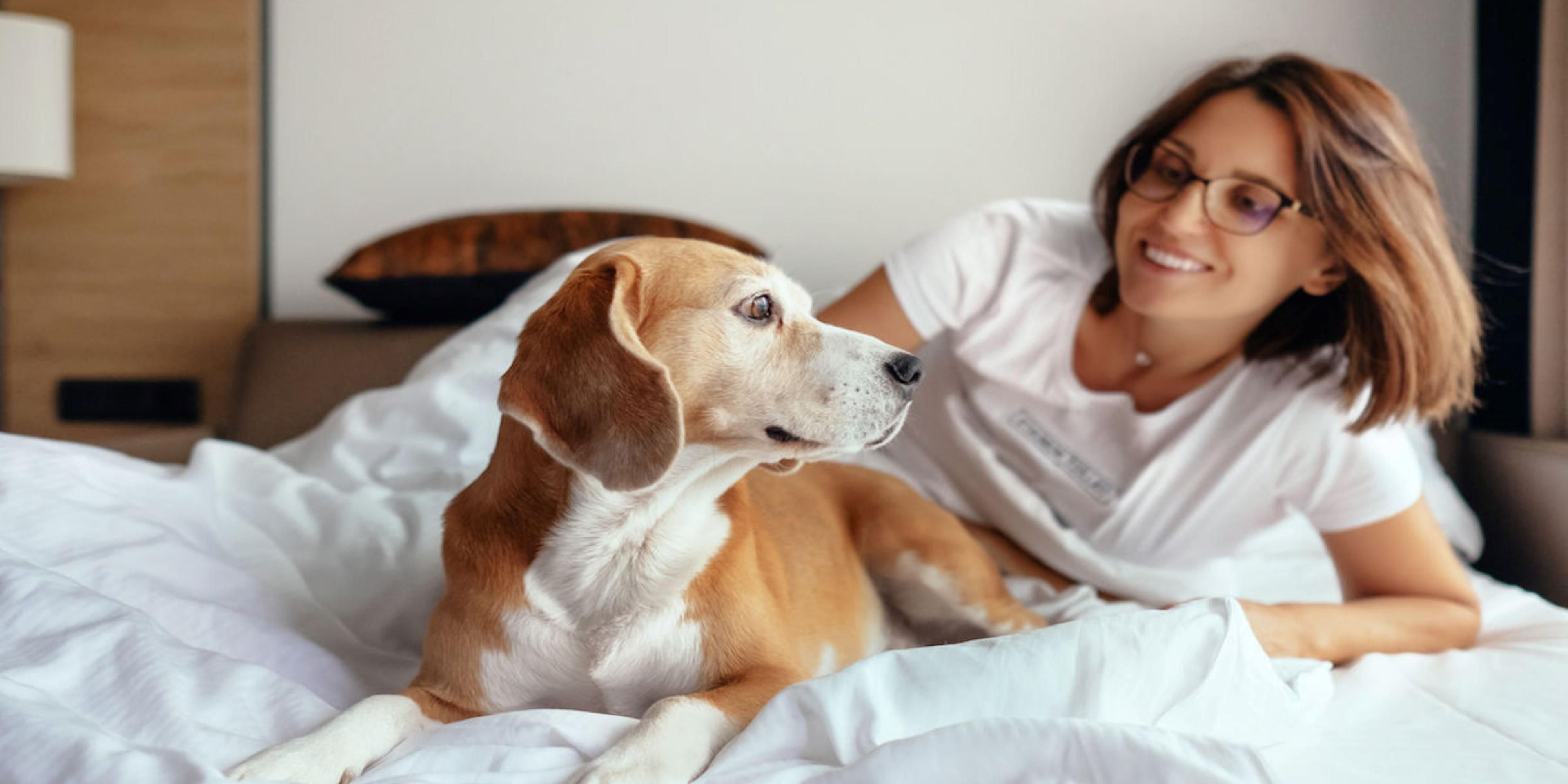 We know your pet is part of the family, especially when you are on the road. That is why we are not just pet friendly but we are pet preferred. Click on our Pet Policy for more information.