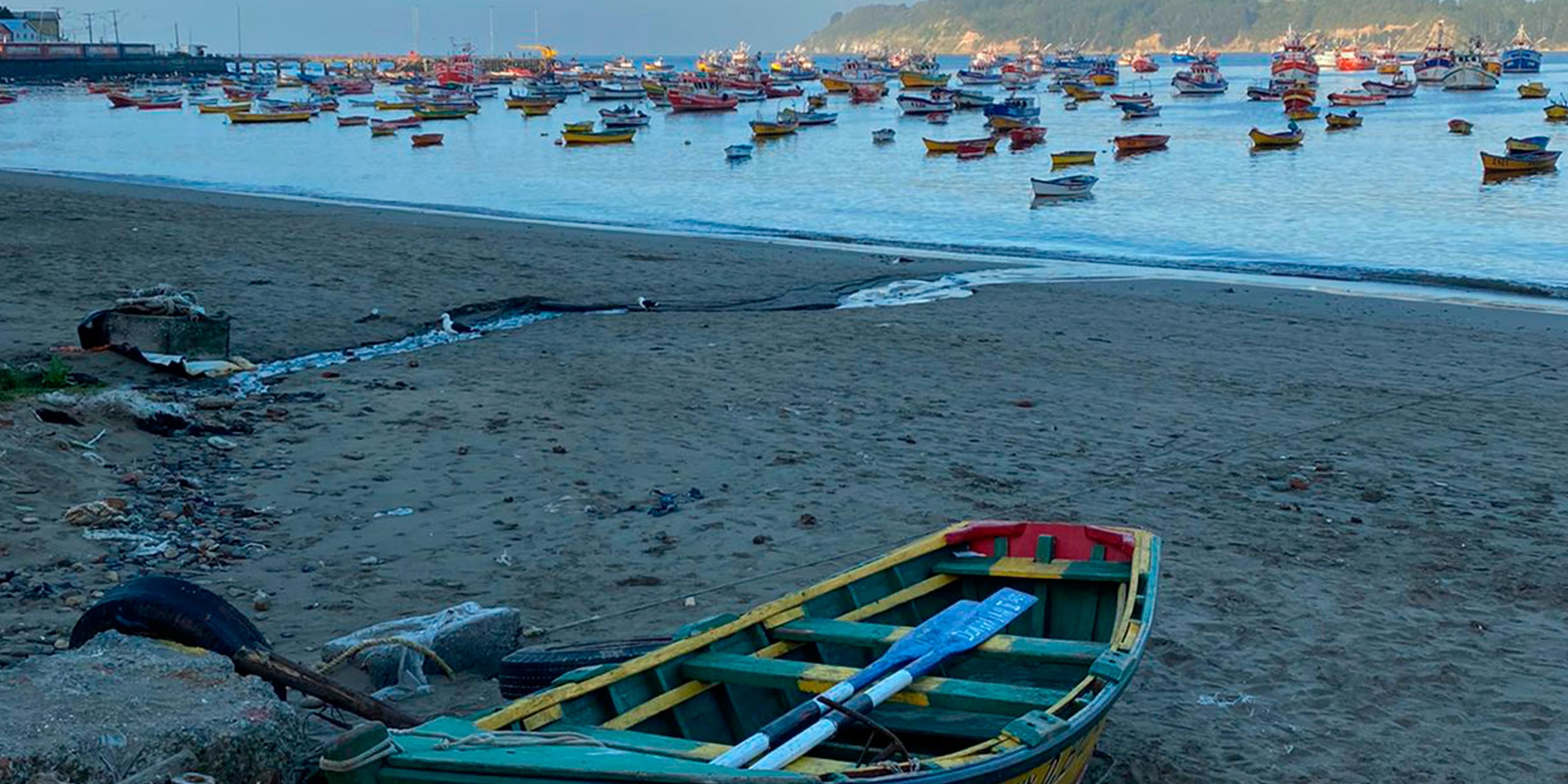 Caleta Tumbes is a necessary visit in Concepción. This fishermen's cove offers a beautiful view of many colorful boats that float on the sea with a view towards Quiriquina Island.